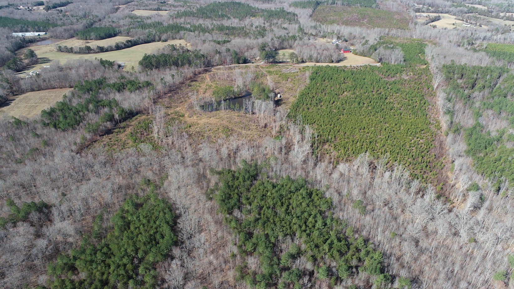 43 +/ Acres of land for sale in Halifax County, Virginia Advance