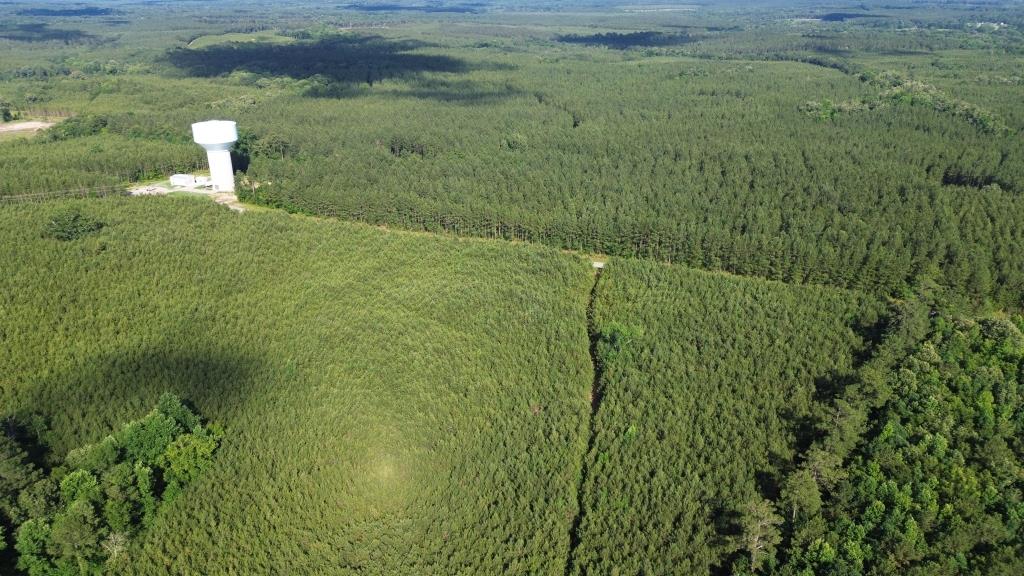 Advance Land and Timber Land for sale property_imgs/16fc18d787294ad5171100e33d05d4e2_2294.jpg