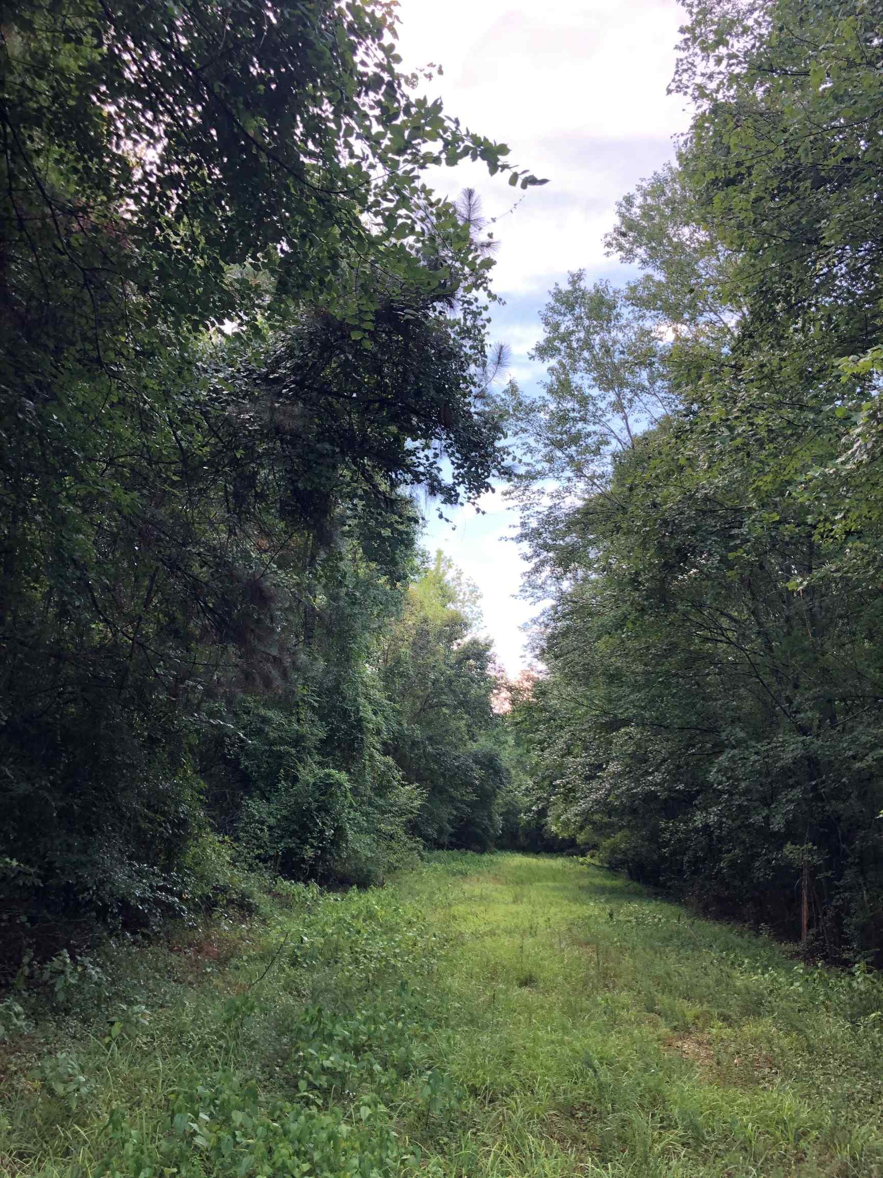 Advance Land and Timber Land for sale property_imgs/16~17.jpg