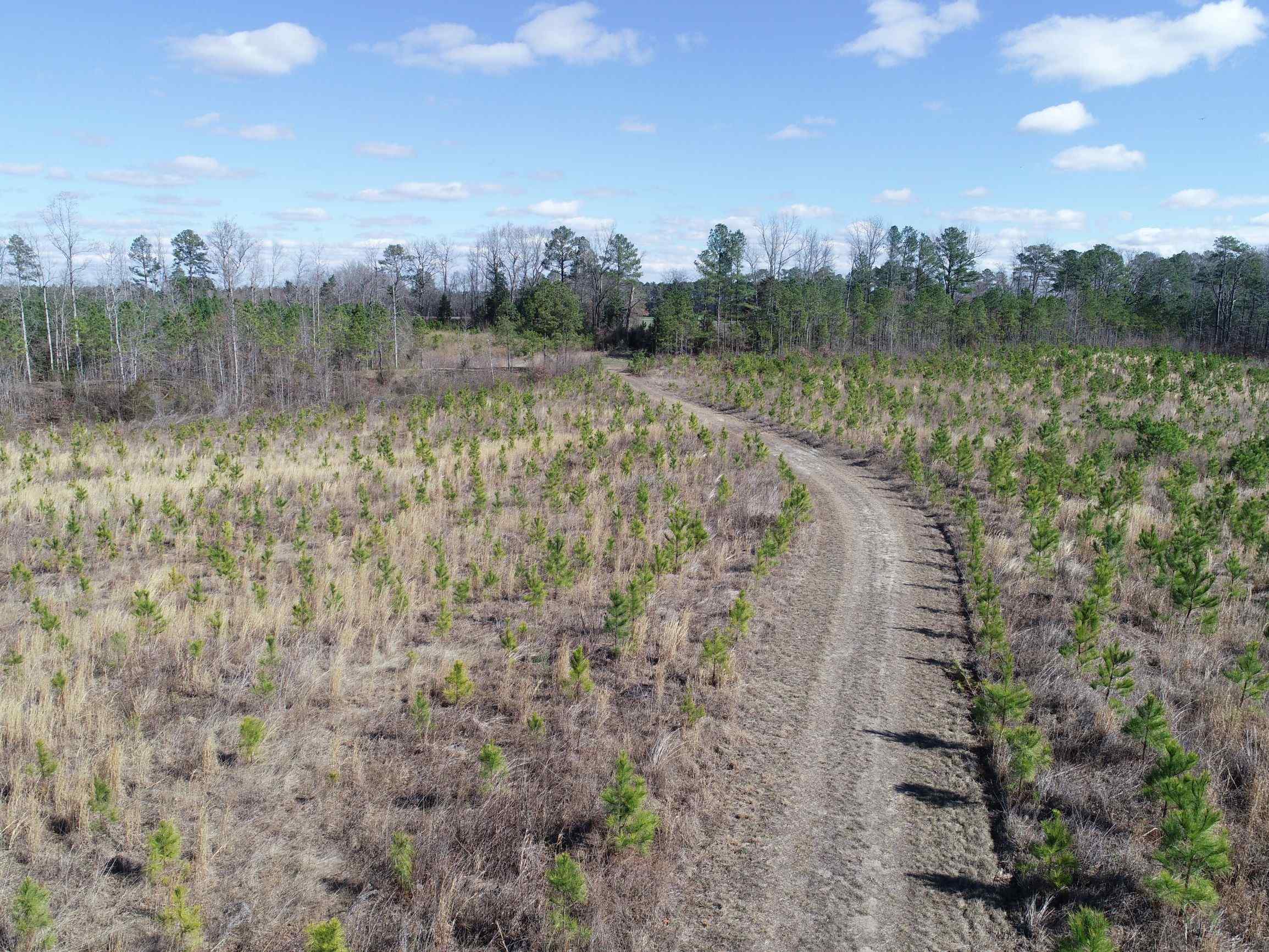 Advance Land and Timber Land for sale property_imgs/16~29.jpg