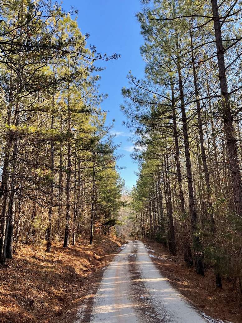 Advance Land and Timber Land for sale property_imgs/16~50.jpg