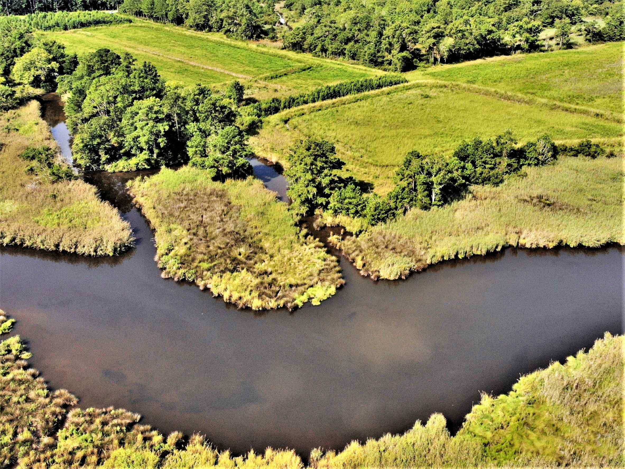 Advance Land and Timber Land for sale property_imgs/16~59.jpg