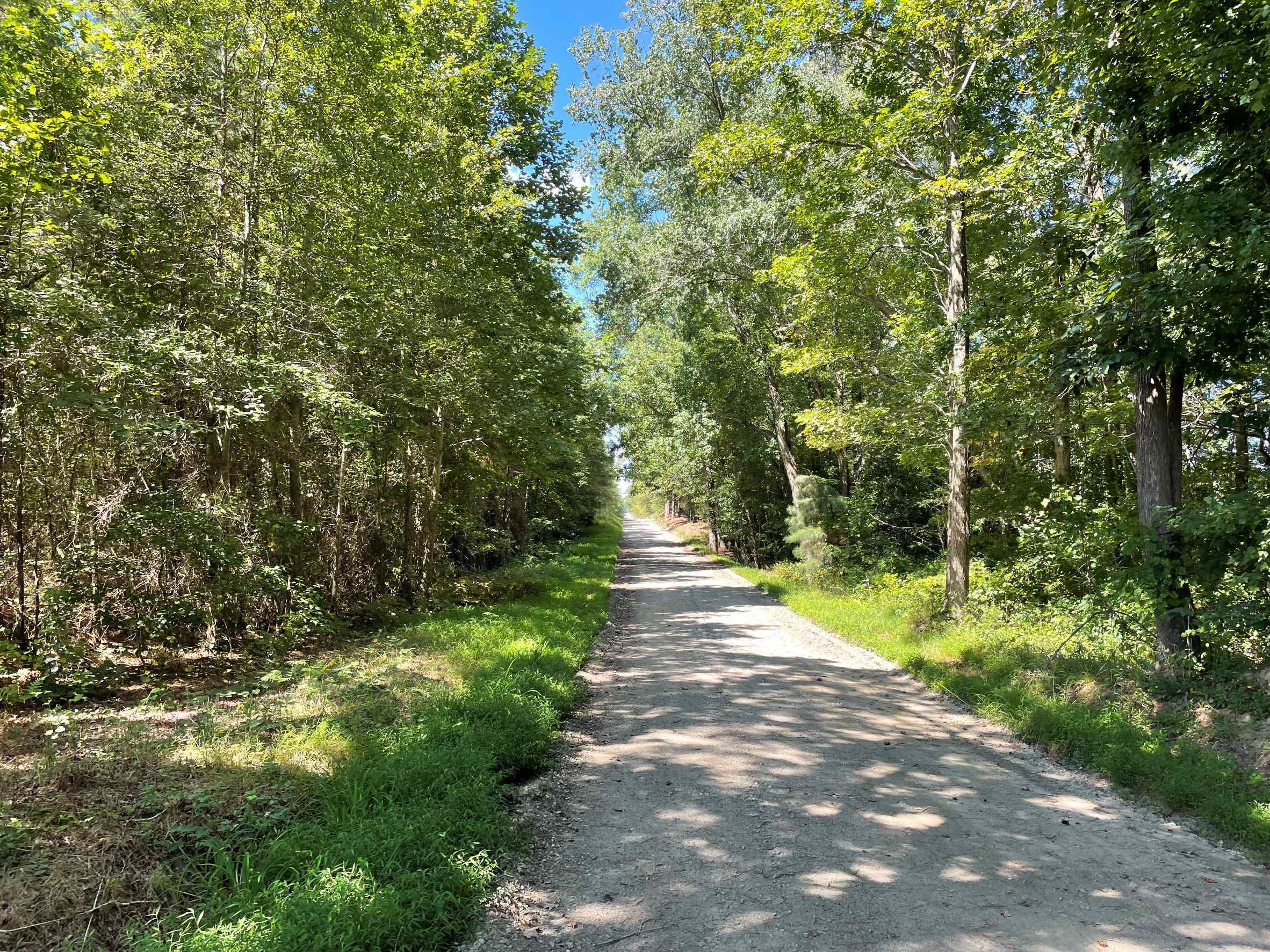 Advance Land and Timber Land for sale property_imgs/16~61.jpg