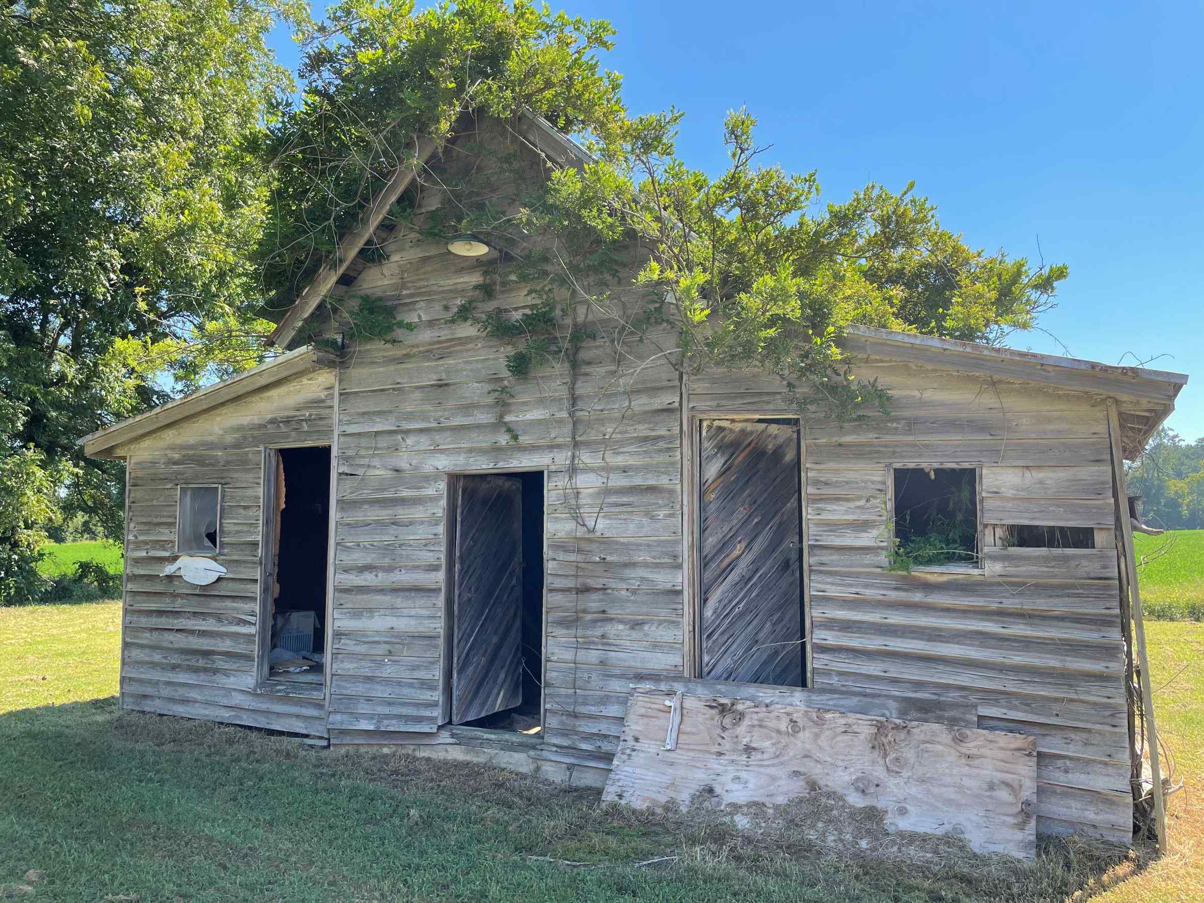 Advance Land and Timber Land for sale property_imgs/16~62.jpg