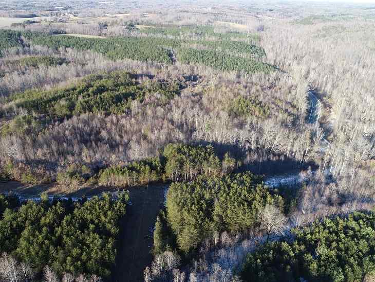 Advance Land and Timber Land for sale property_imgs/16~67.jpg