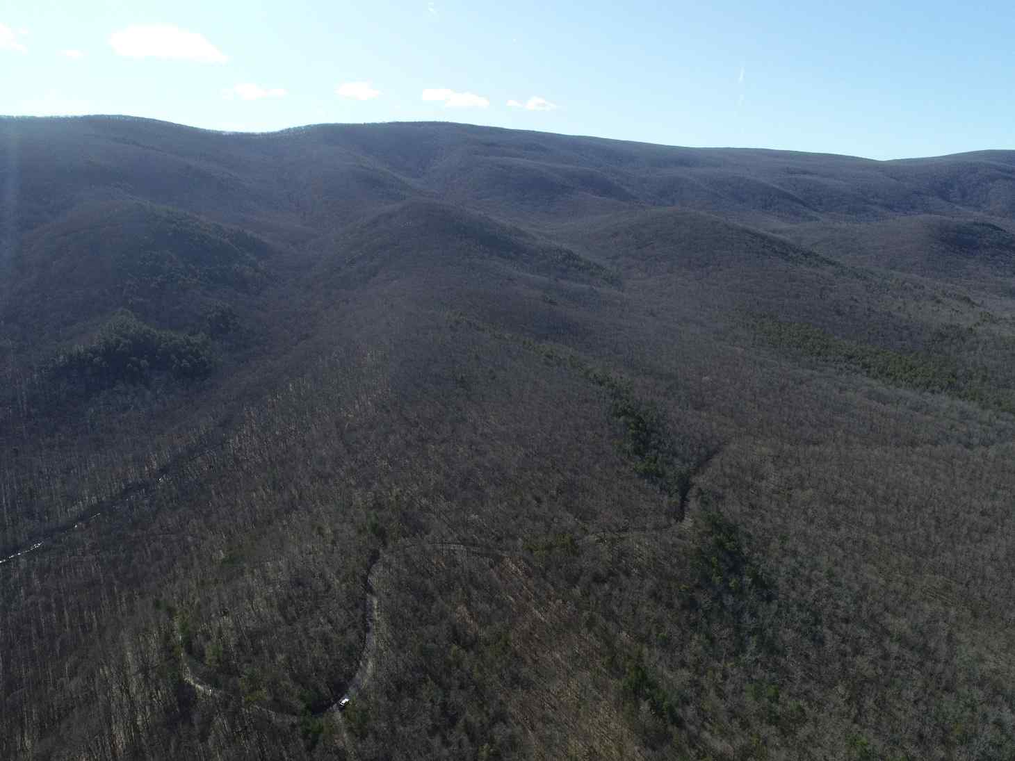 Advance Land and Timber Land for sale property_imgs/16~70.jpg
