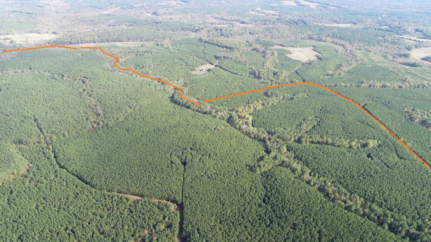 Advance Land and Timber Land for sale property_imgs/17~22.jpg