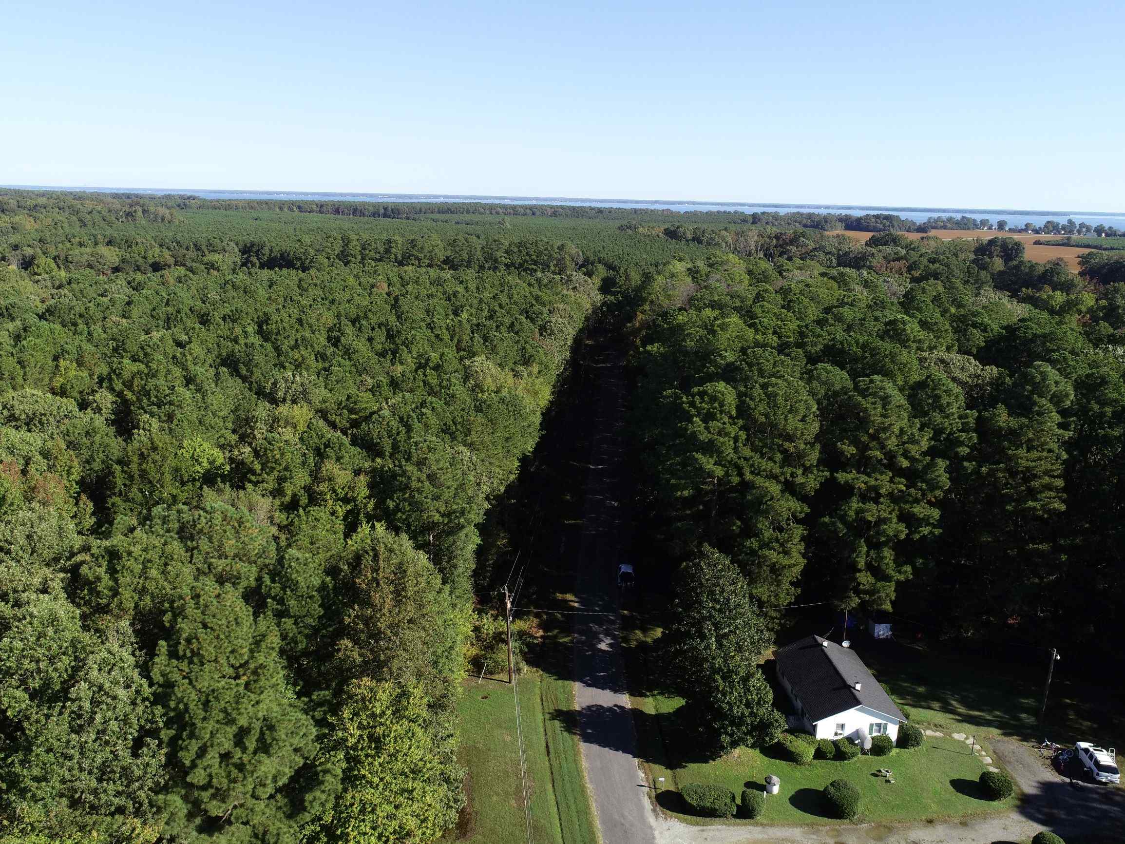 Advance Land and Timber Land for sale property_imgs/17~37.jpg