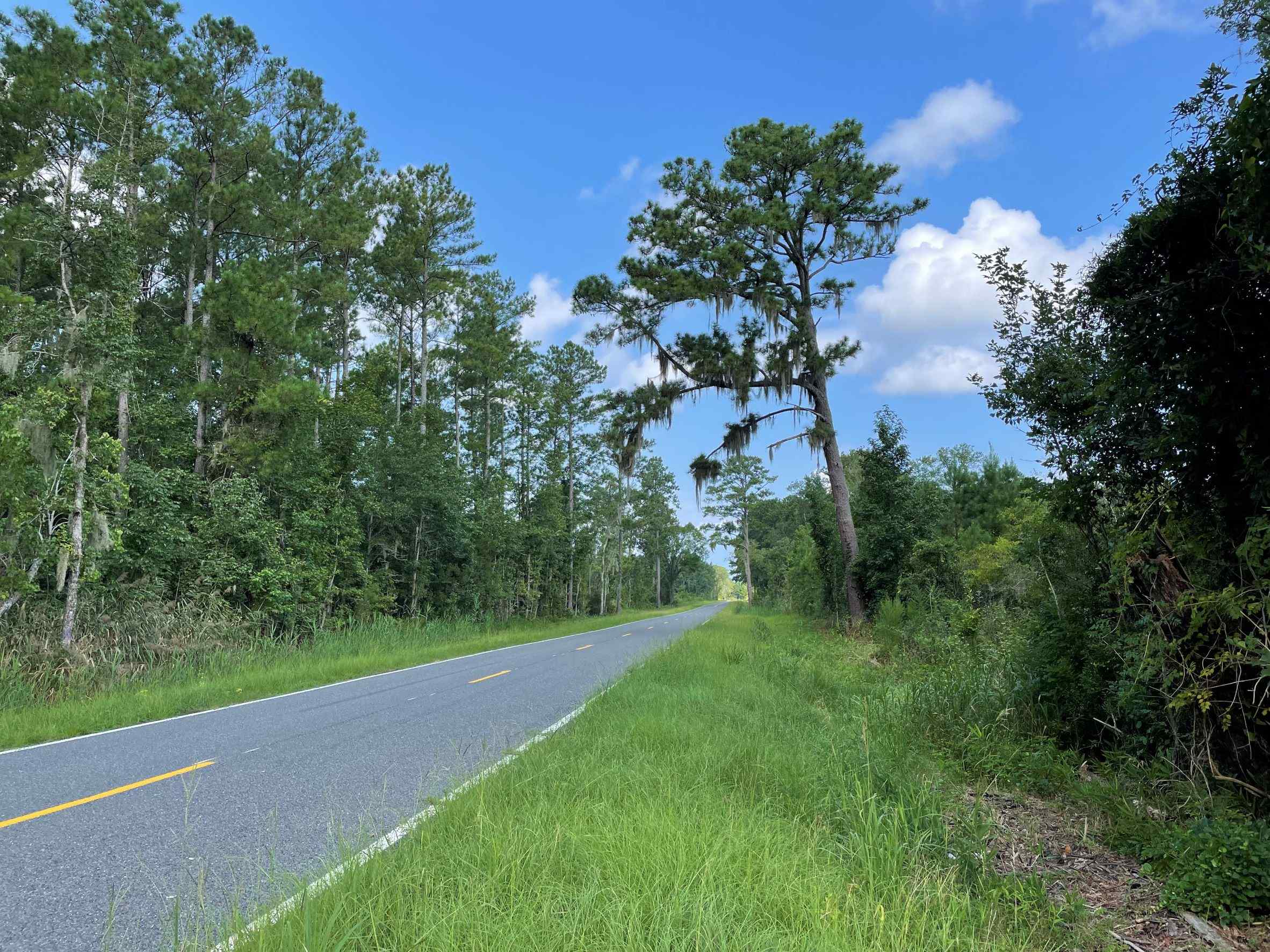 Advance Land and Timber Land for sale property_imgs/17~50.jpg