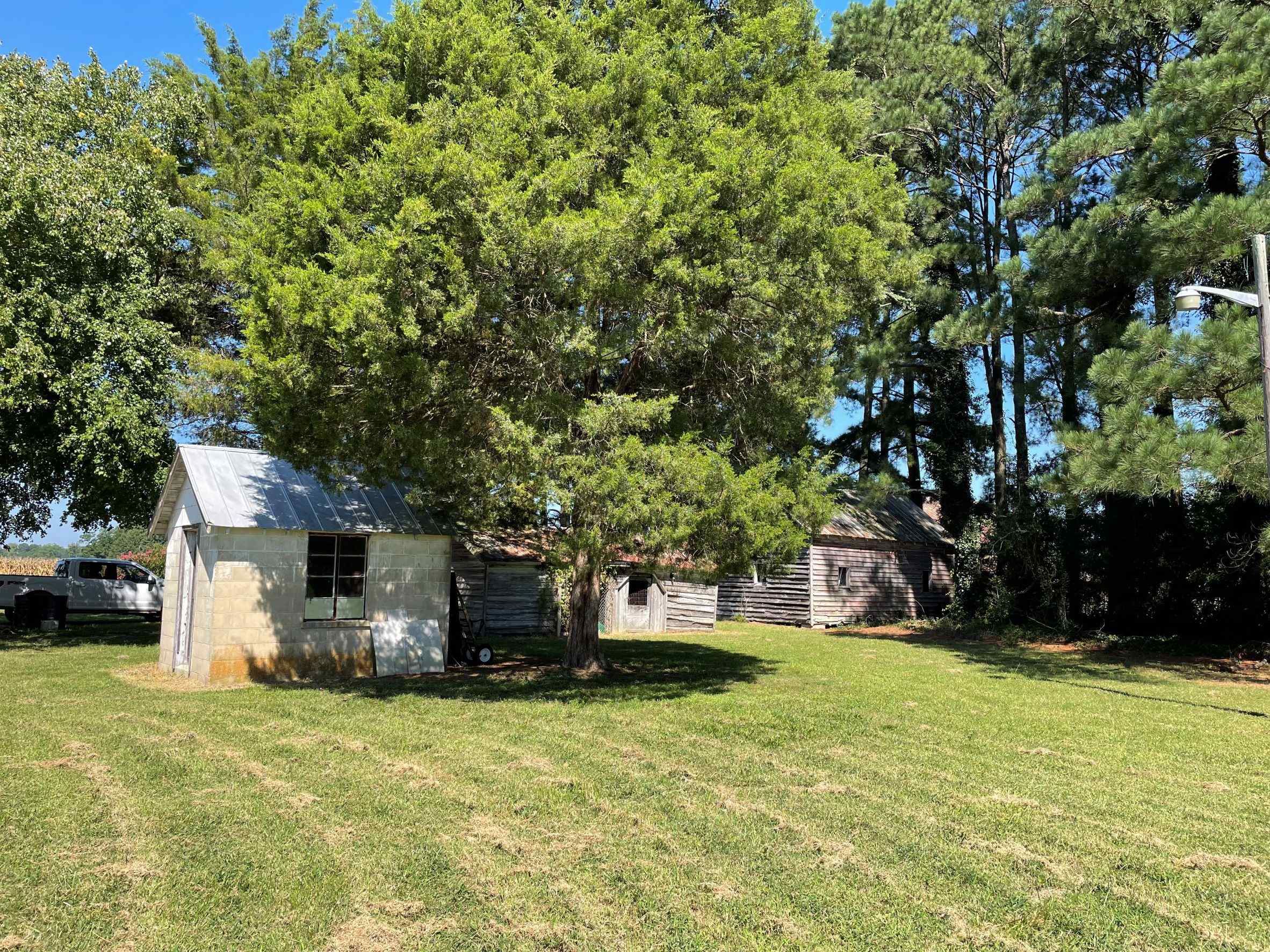 Advance Land and Timber Land for sale property_imgs/17~52.jpg