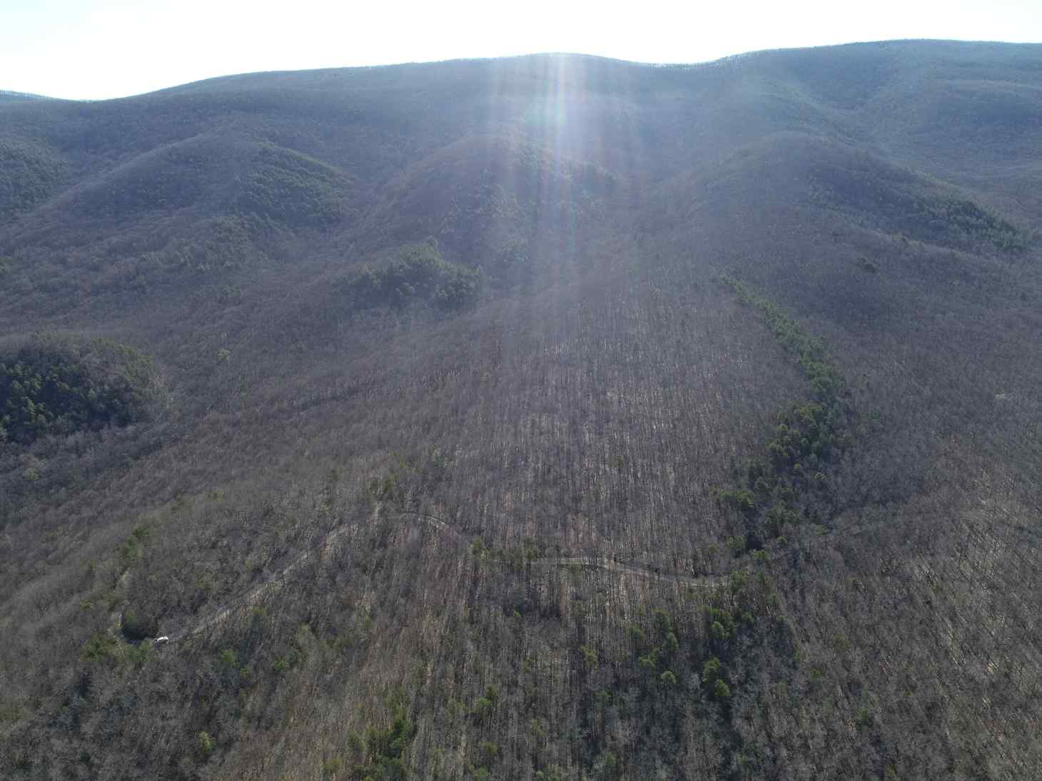 Advance Land and Timber Land for sale property_imgs/17~60.jpg