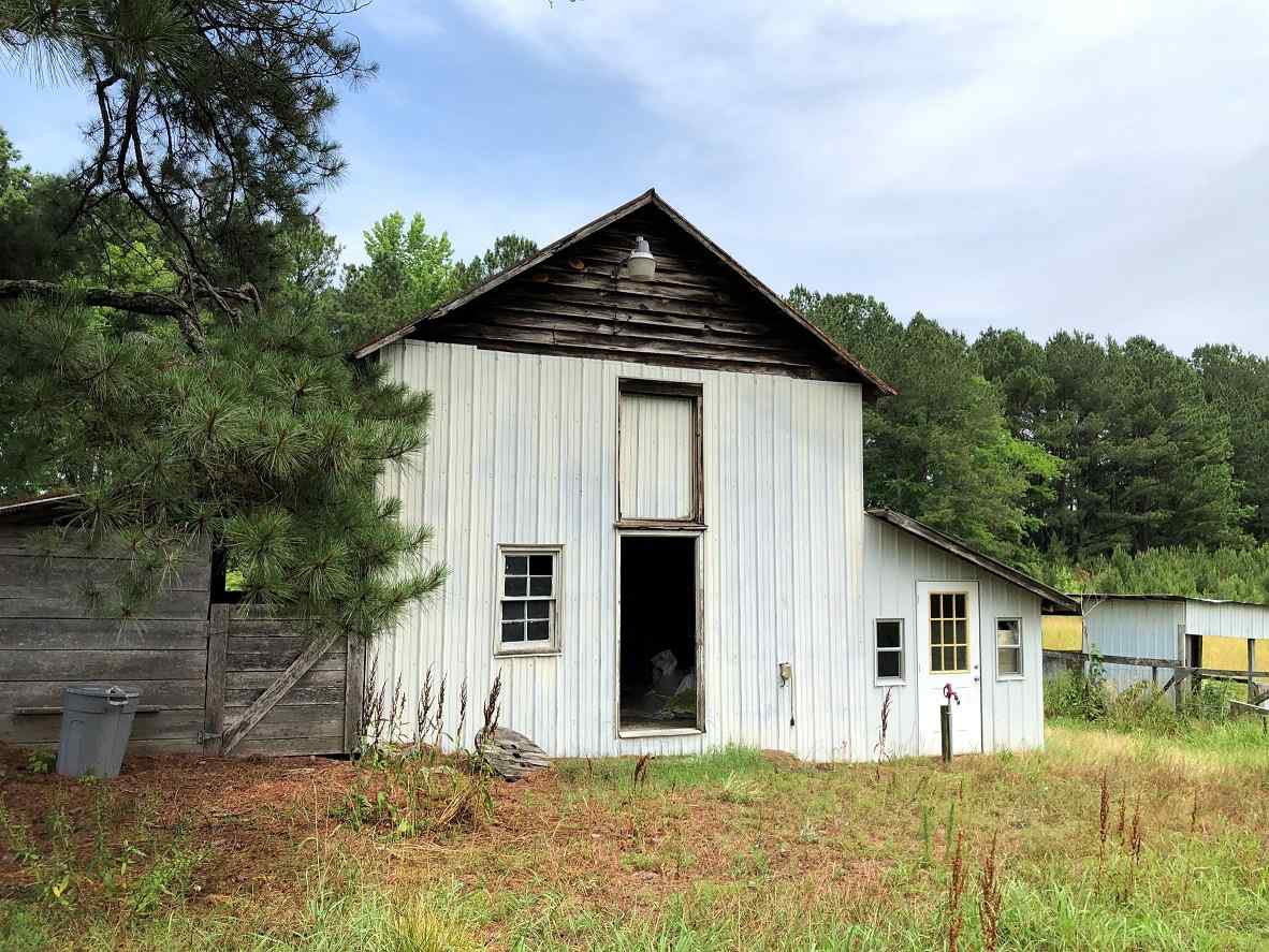 Advance Land and Timber Land for sale property_imgs/17~75.jpg