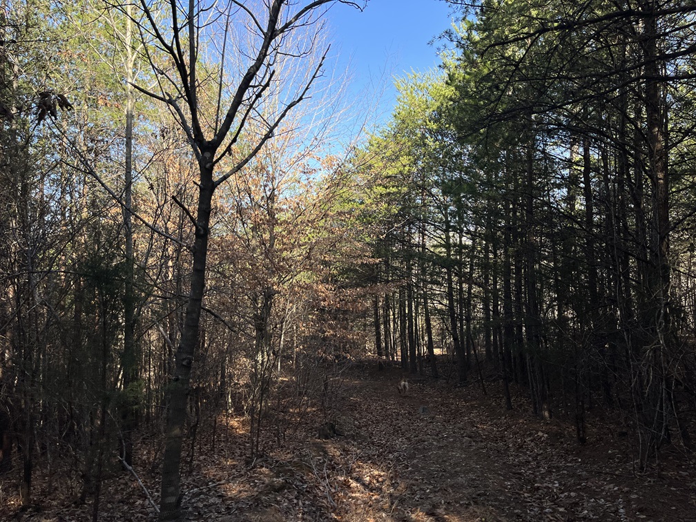 Advance Land and Timber Land for sale property_imgs/187acf7982f3c169b3075132380986e4_2056.jpg