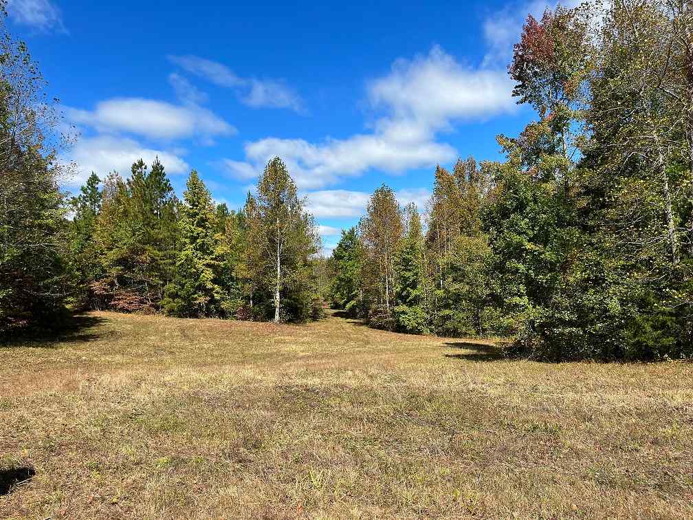 Advance Land and Timber Land for sale property_imgs/18bb68e2b38e4a8ce7cf4f6b2625768c.jpg