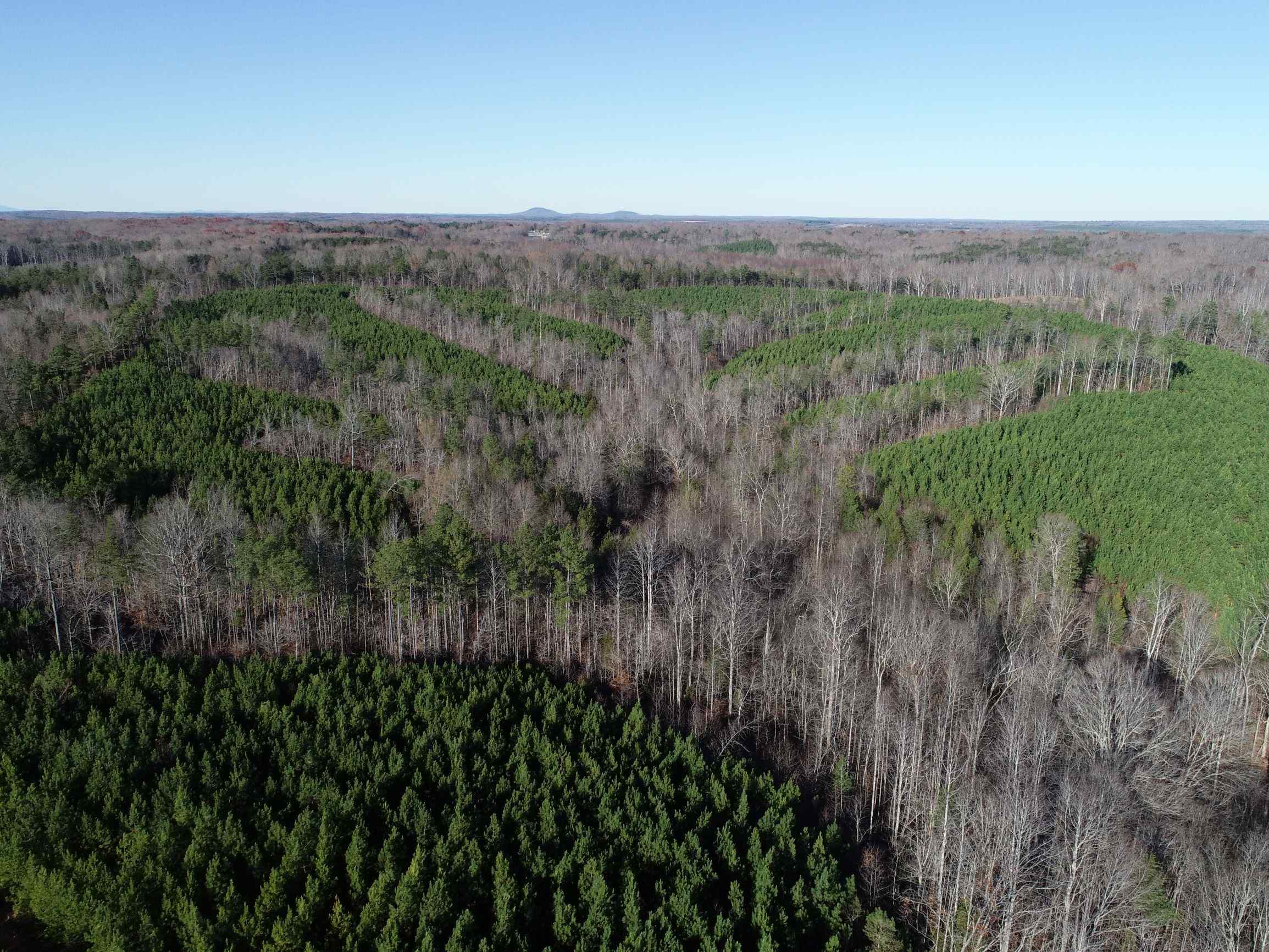 Advance Land and Timber Land for sale property_imgs/18~41.jpg