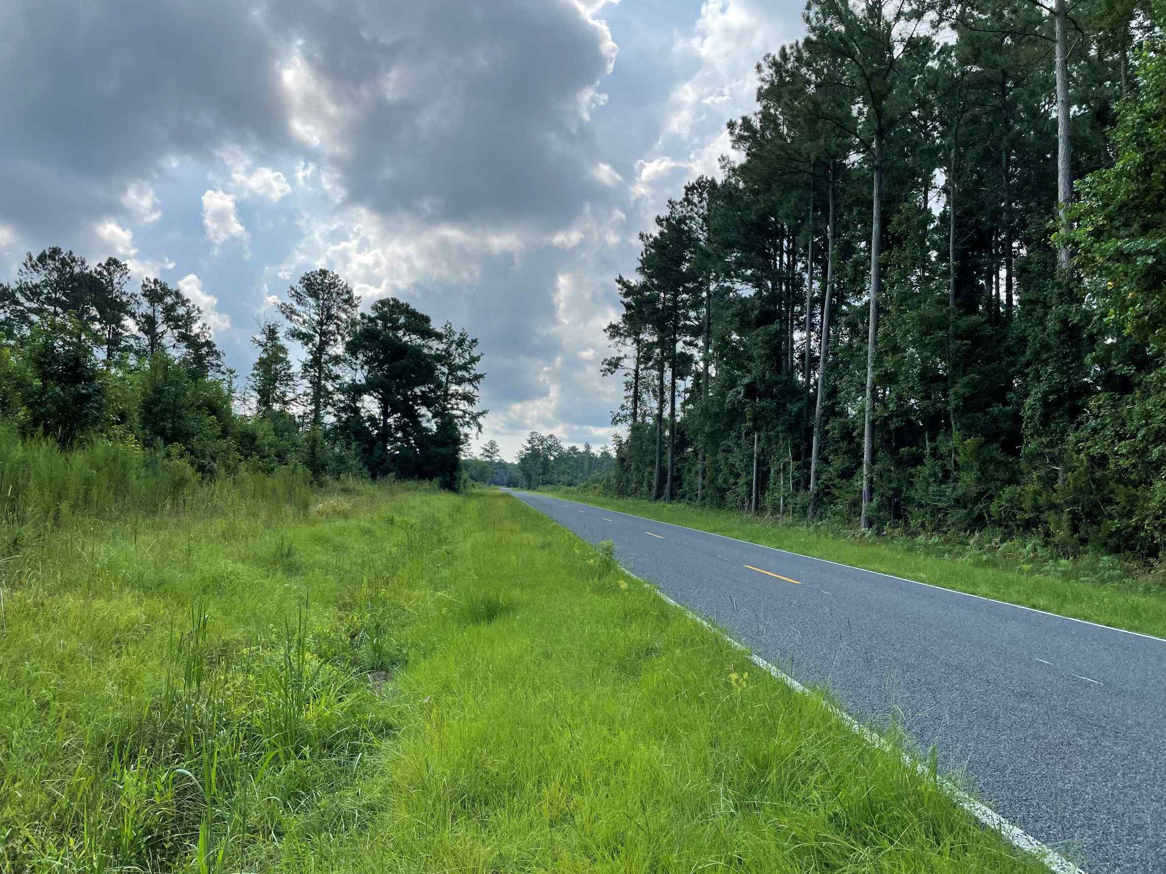 Advance Land and Timber Land for sale property_imgs/18~50.jpg