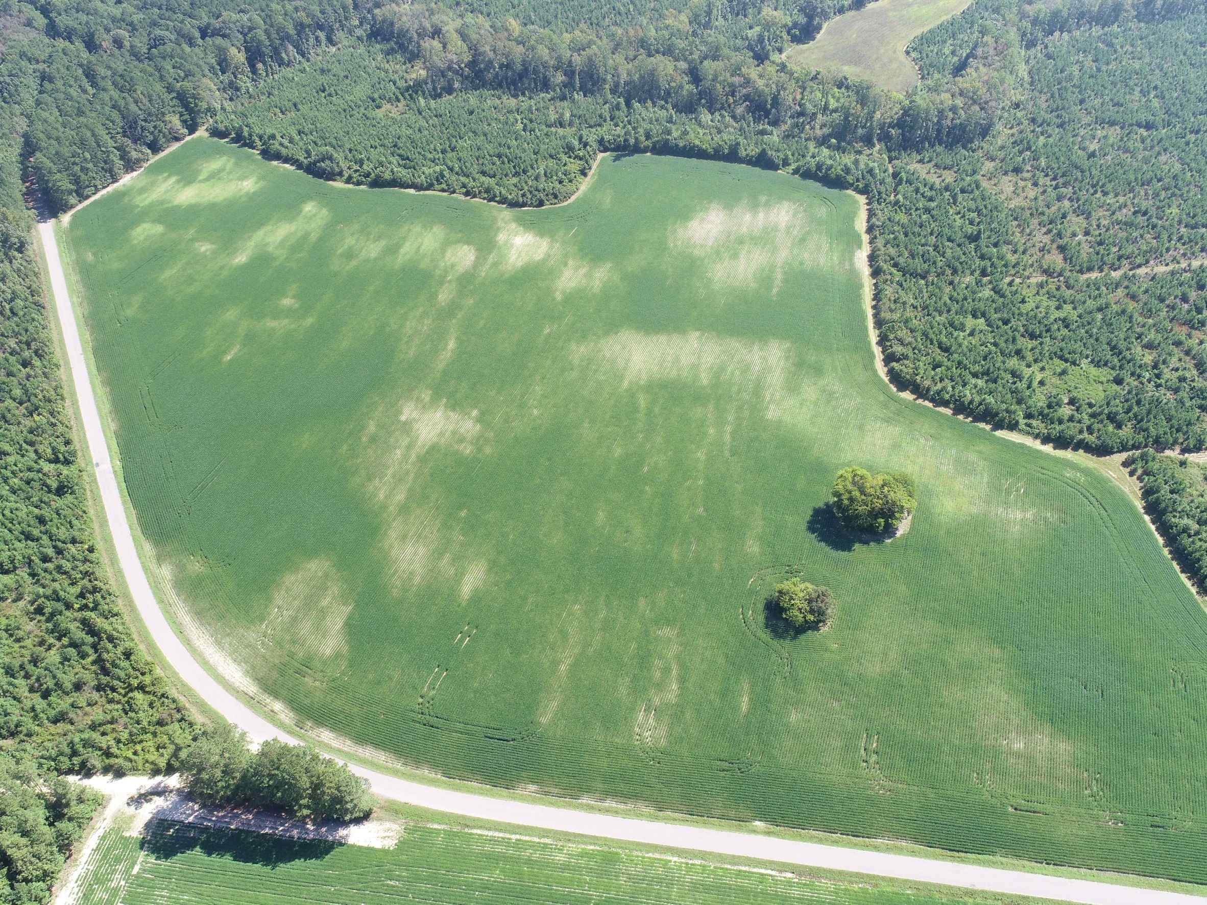 Advance Land and Timber Land for sale property_imgs/18~51.jpg