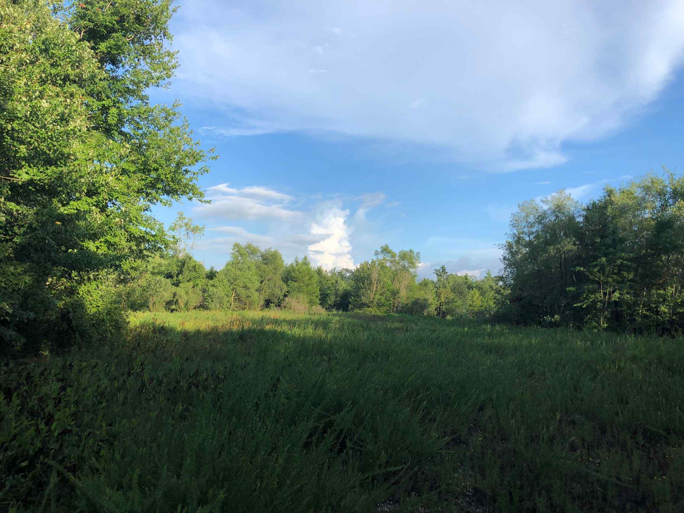 Advance Land and Timber Land for sale property_imgs/19~15.jpg