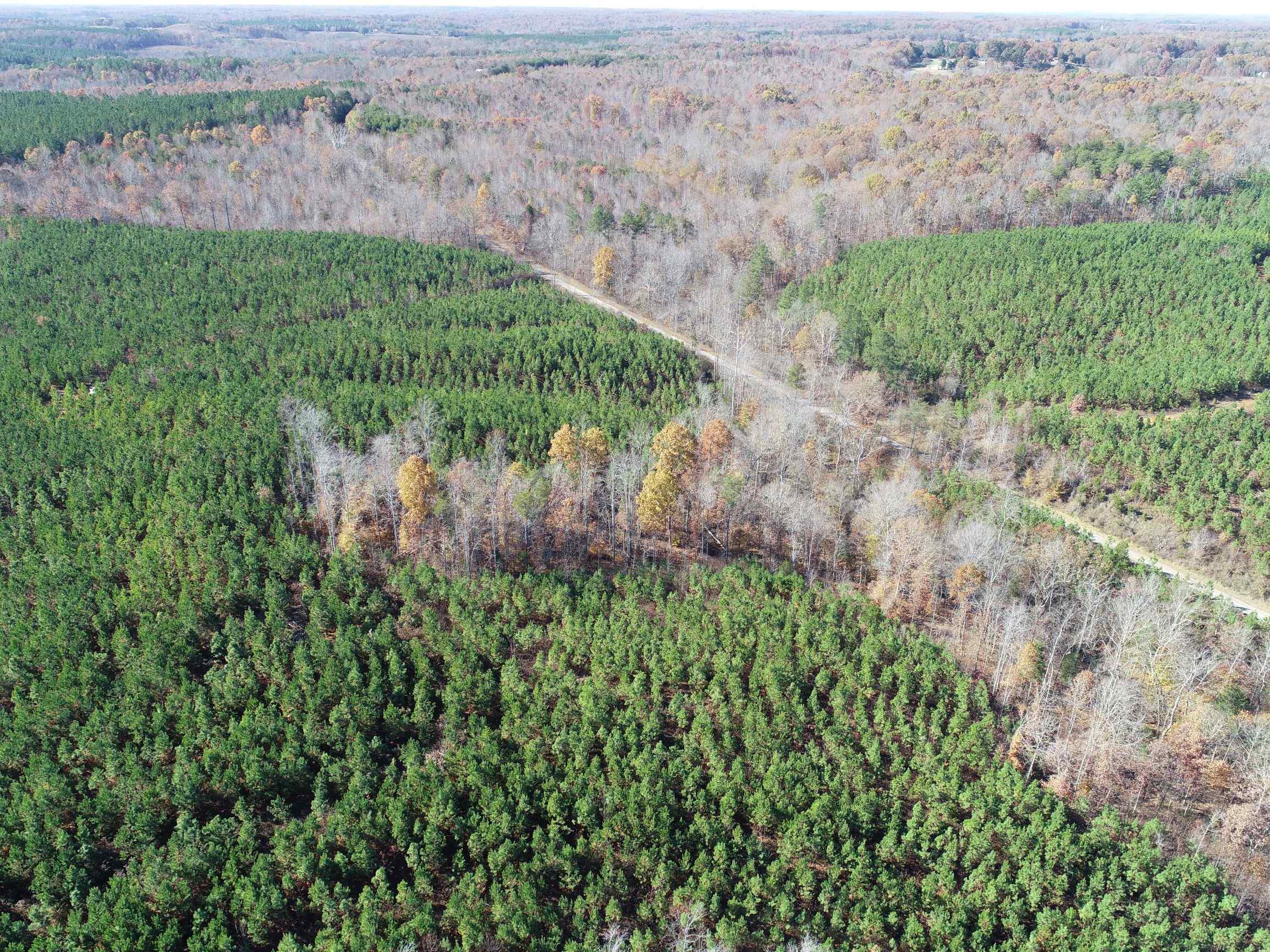 Advance Land and Timber Land for sale property_imgs/19~30.jpg