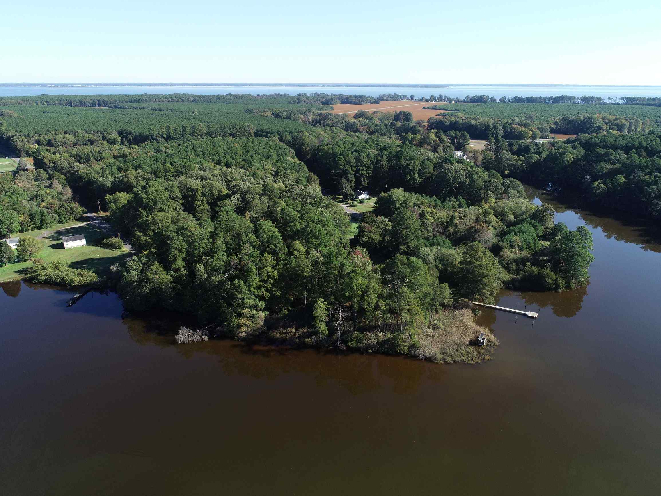 Advance Land and Timber Land for sale property_imgs/19~33.jpg