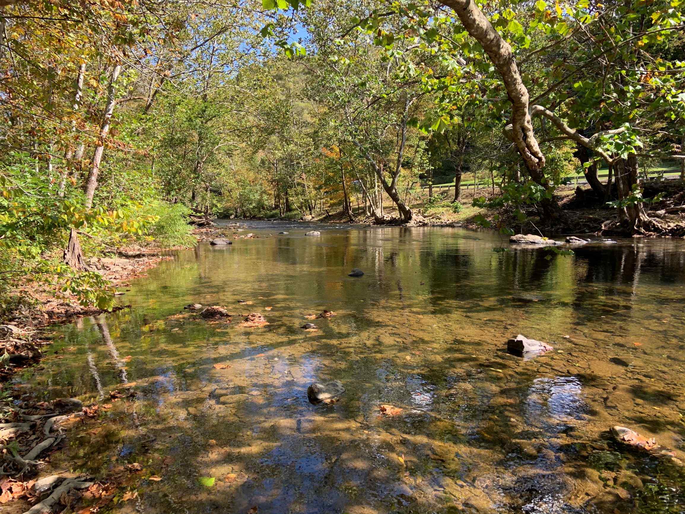 Advance Land and Timber Land for sale property_imgs/19~35.jpg