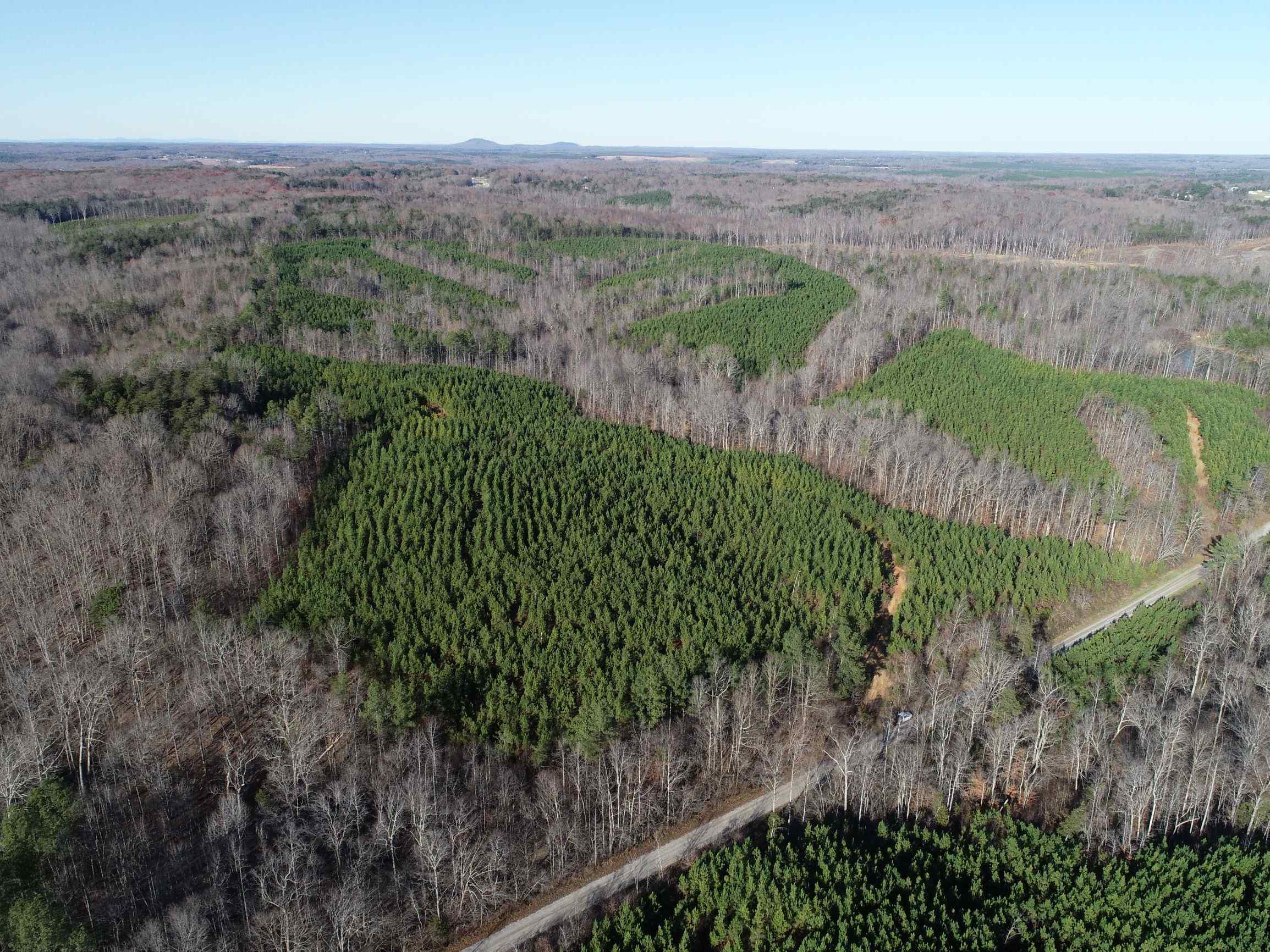 Advance Land and Timber Land for sale property_imgs/19~37.jpg