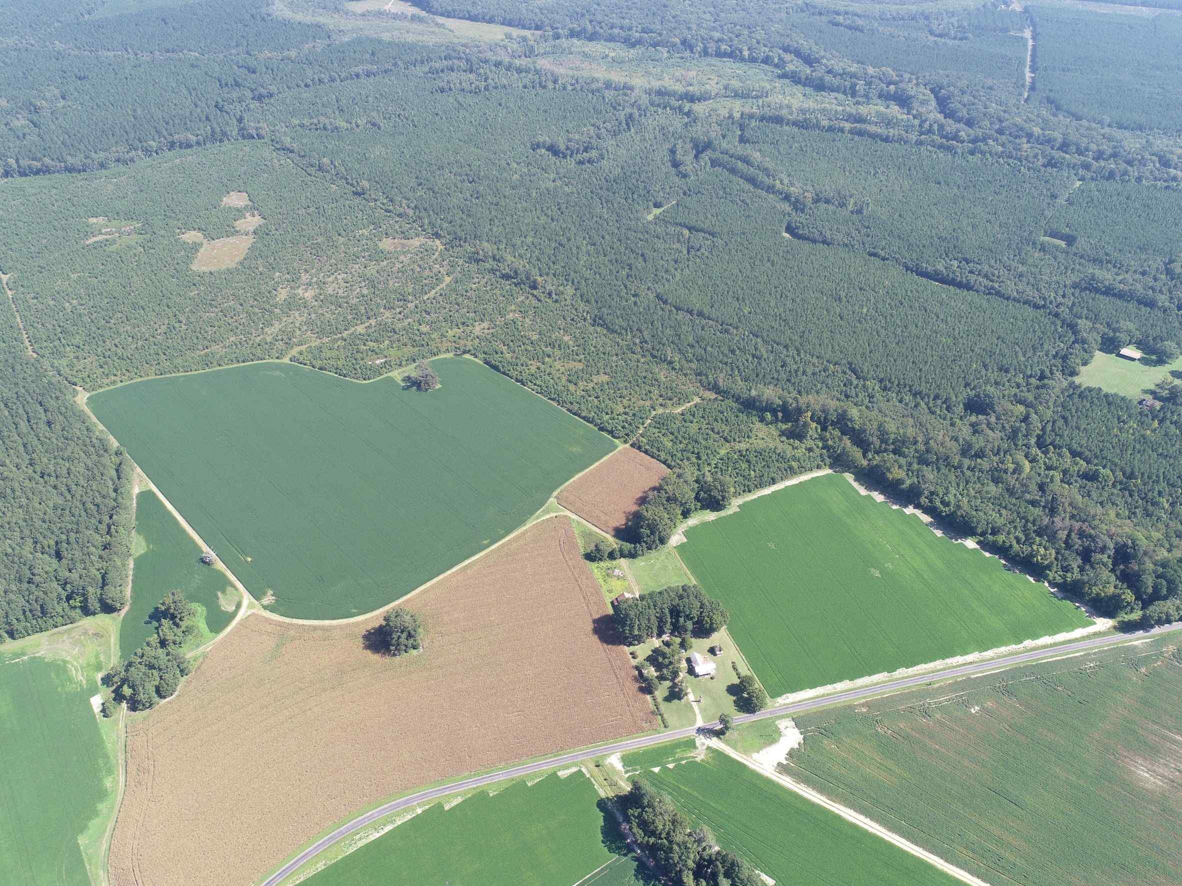 Advance Land and Timber Land for sale property_imgs/19~44.jpg