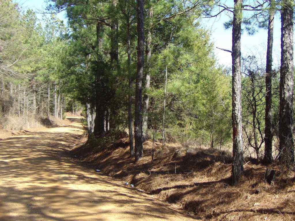 Advance Land and Timber Land for sale property_imgs/1_686.jpg