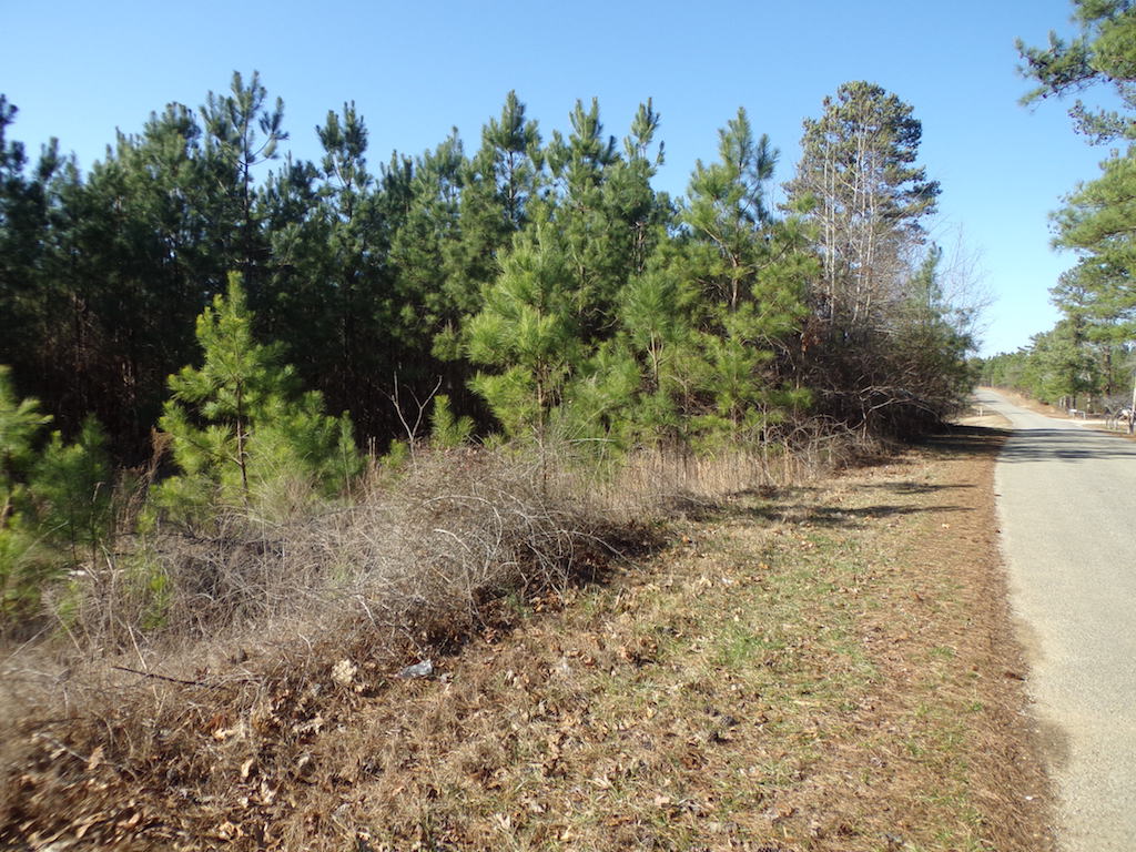 Tishomingo County Mississippi Land for Sale
