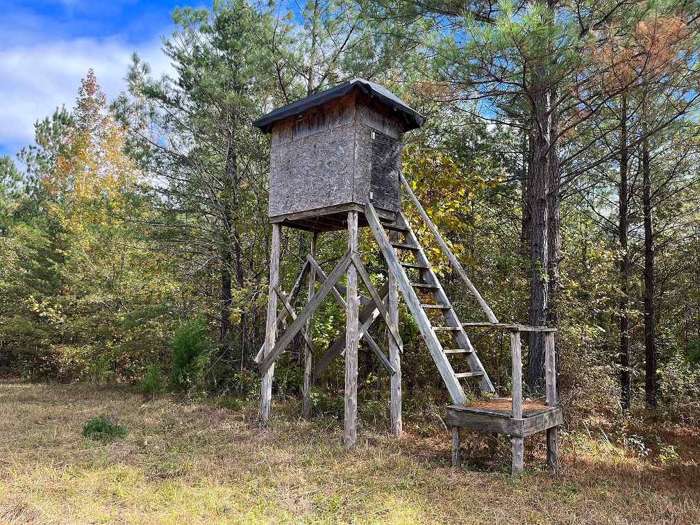 Advance Land and Timber Land for sale property_imgs/1c54985e4f95b7819ca0357c0cb9a09f.jpg