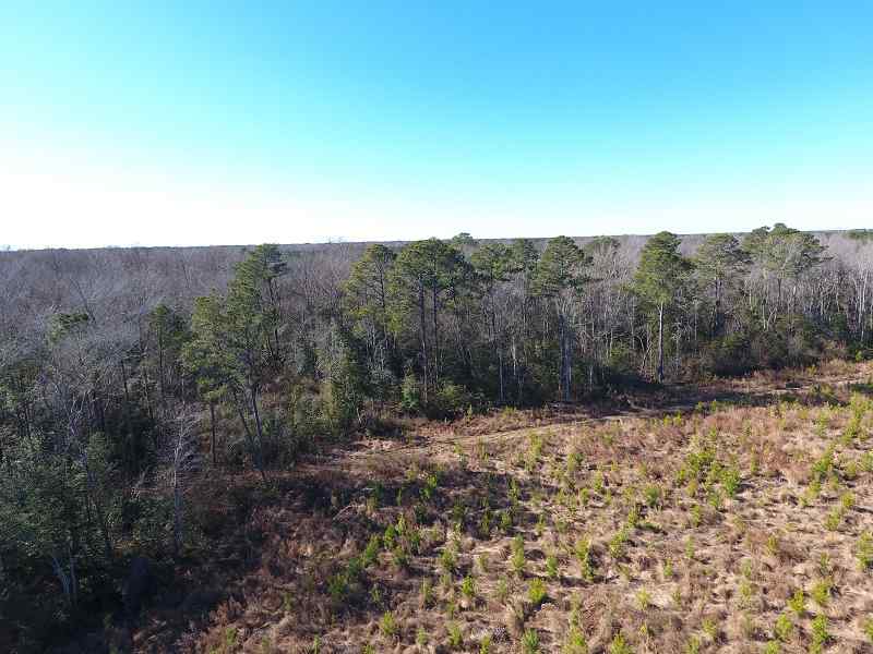 Advance Land and Timber Land for sale property_imgs/1cbcaa5abbb6b70f378a3a03d0c26386_1891.jpg