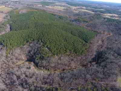 Advance Land and Timber Land for sale property_imgs/1d~0.jpg