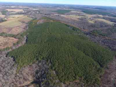 Advance Land and Timber Land for sale property_imgs/1f~0.jpg