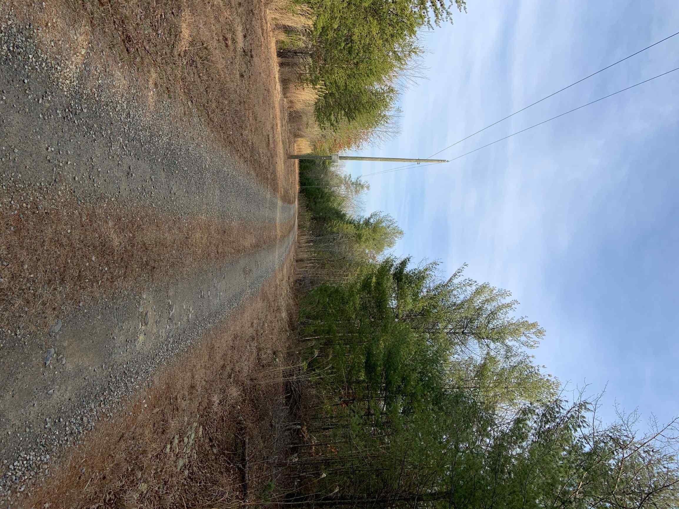 Advance Land and Timber Land for sale property_imgs/1~112.jpg