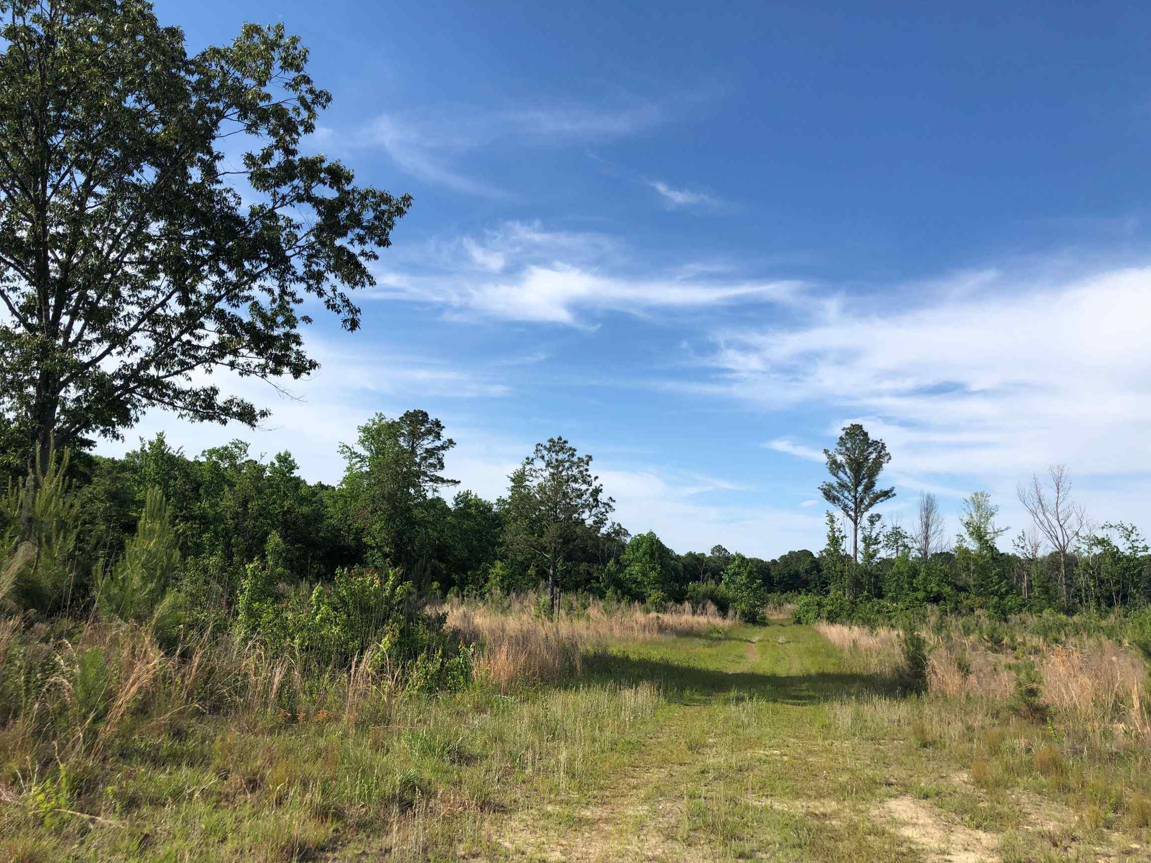 Advance Land and Timber Land for sale property_imgs/1~163.jpg
