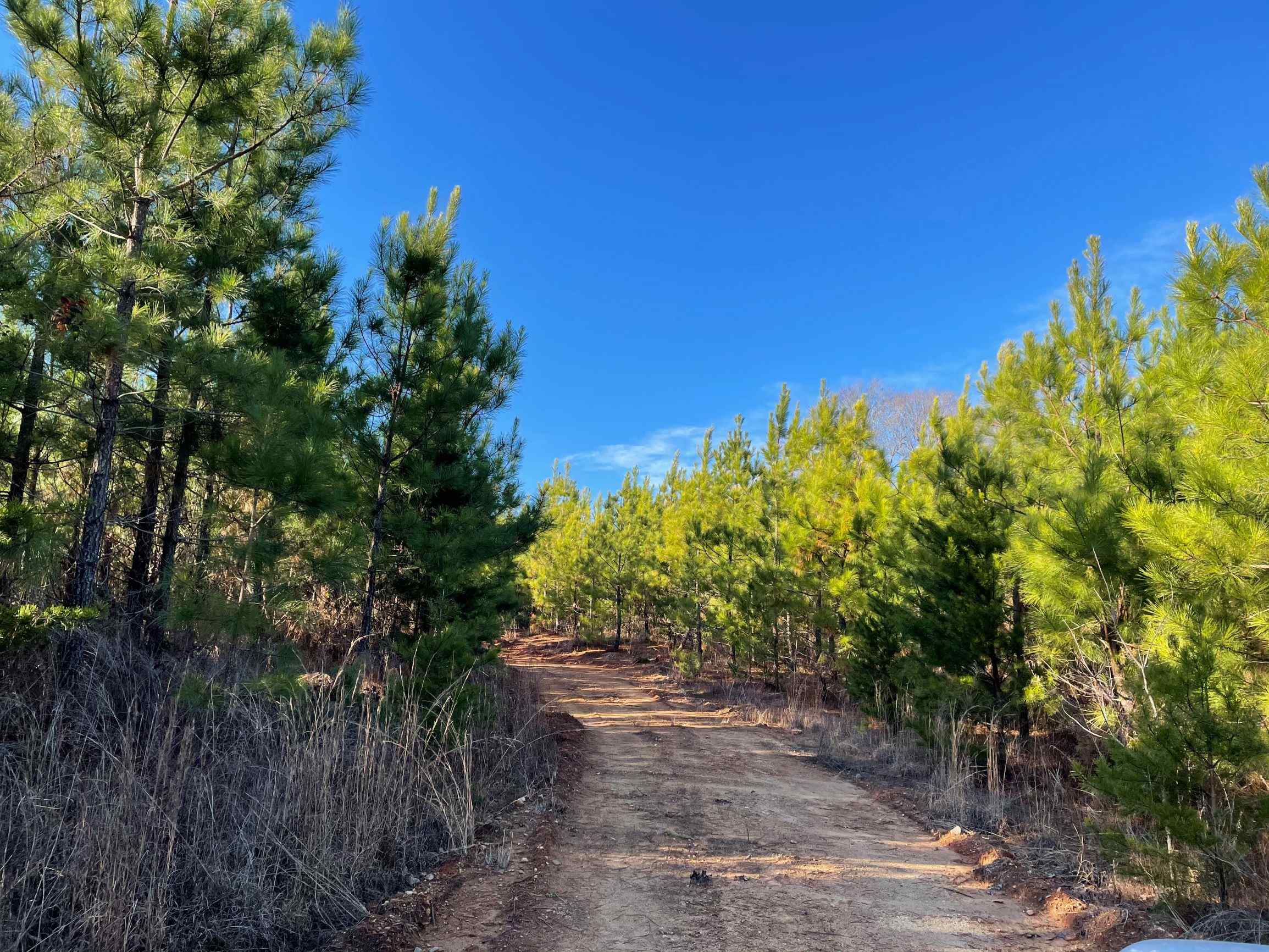 Advance Land and Timber Land for sale property_imgs/1~181.jpg