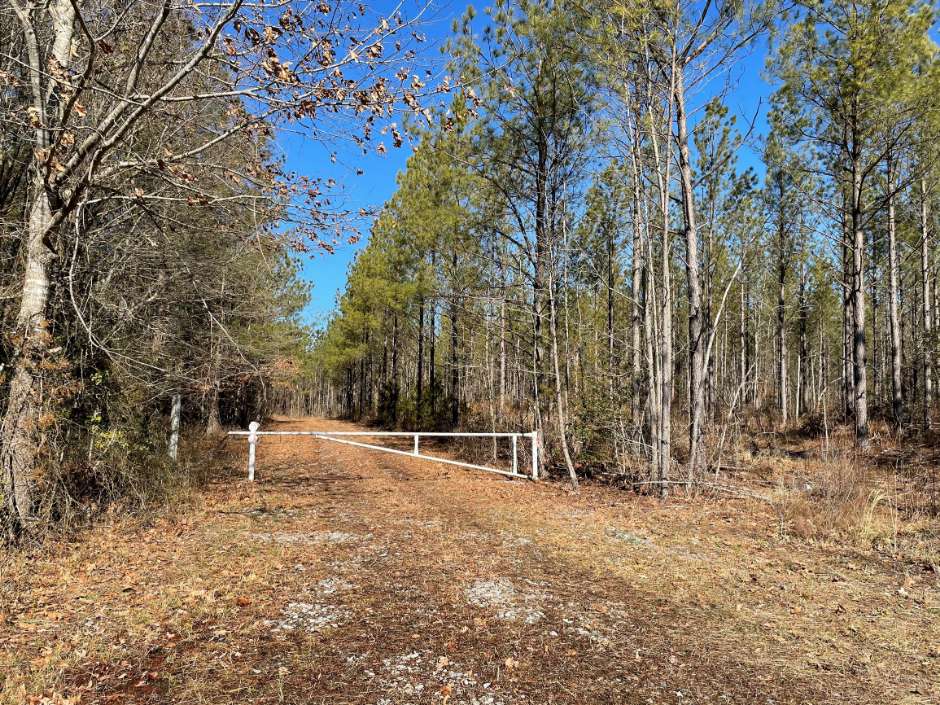 Sussex County Virginia Land for Sale