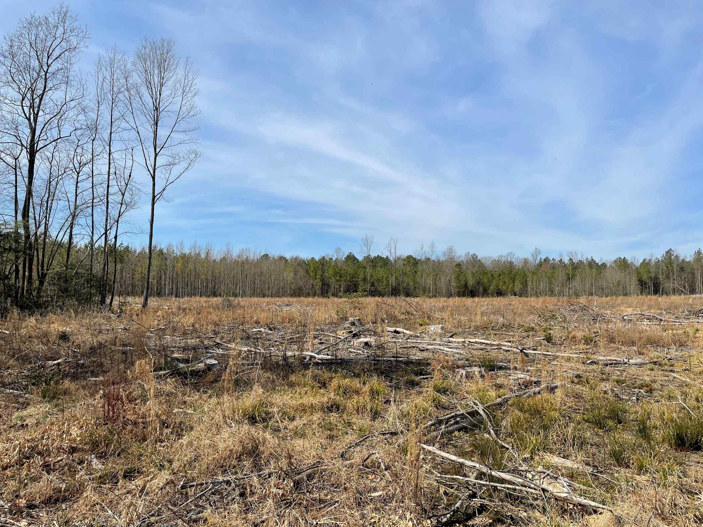 Advance Land and Timber Land for sale property_imgs/1~224.jpg