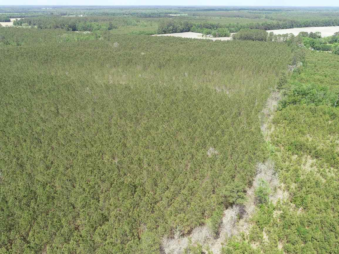 Advance Land and Timber Land for sale property_imgs/1~248.jpg