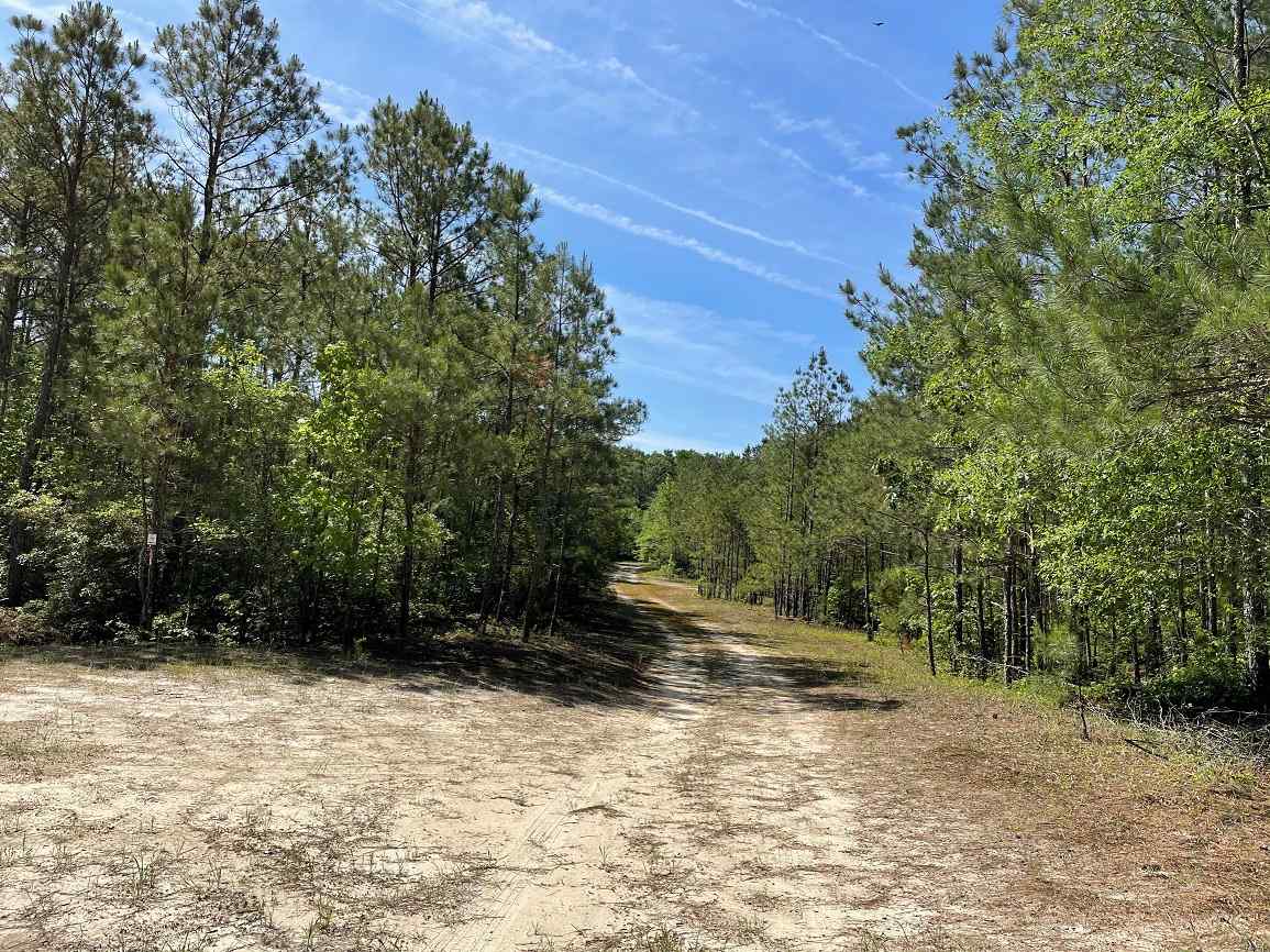 Advance Land and Timber Land for sale property_imgs/1~250.jpg