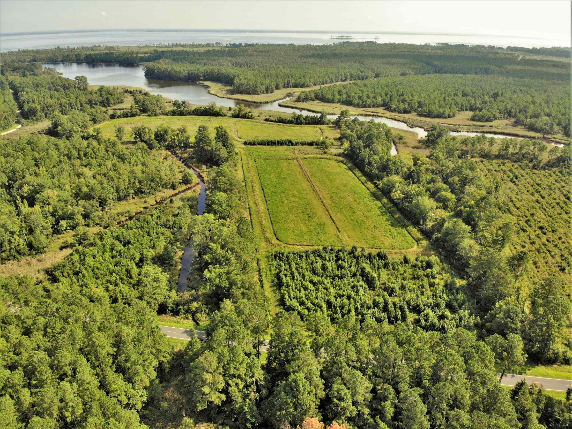 Advance Land and Timber Land for sale property_imgs/1~256.jpg