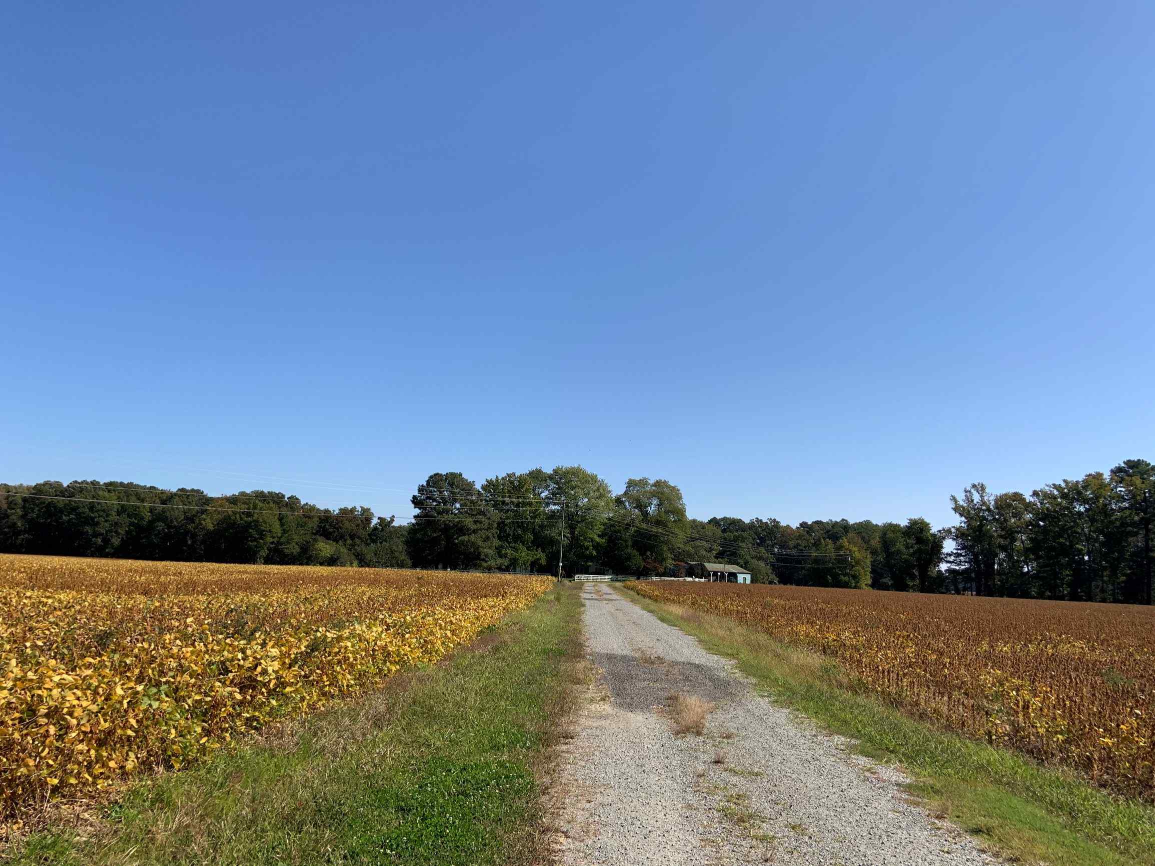 Westmoreland County Virginia Land for Sale