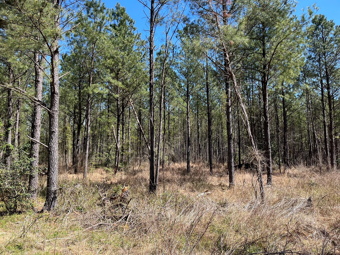 73 acres located less than a mile south of Yale, VA.