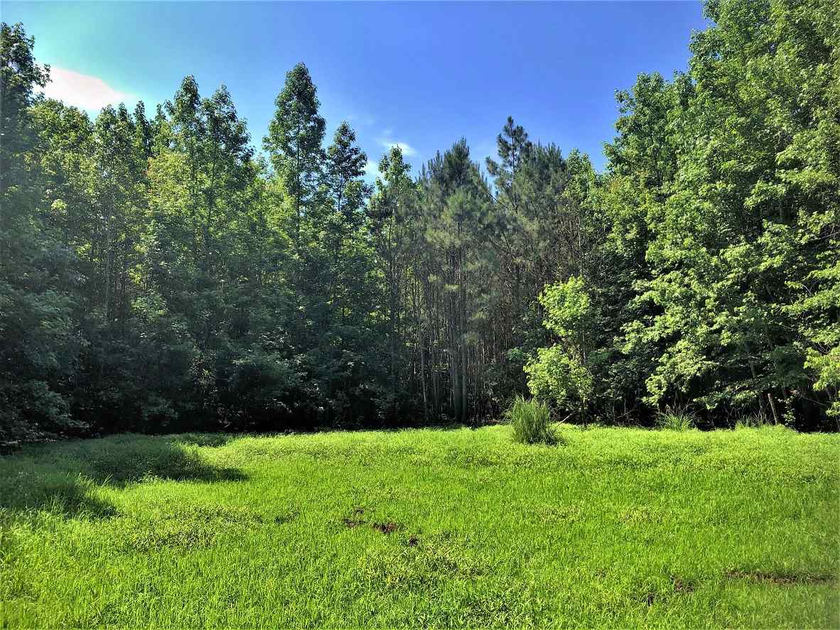 Advance Land and Timber Land for sale property_imgs/1~372.jpg