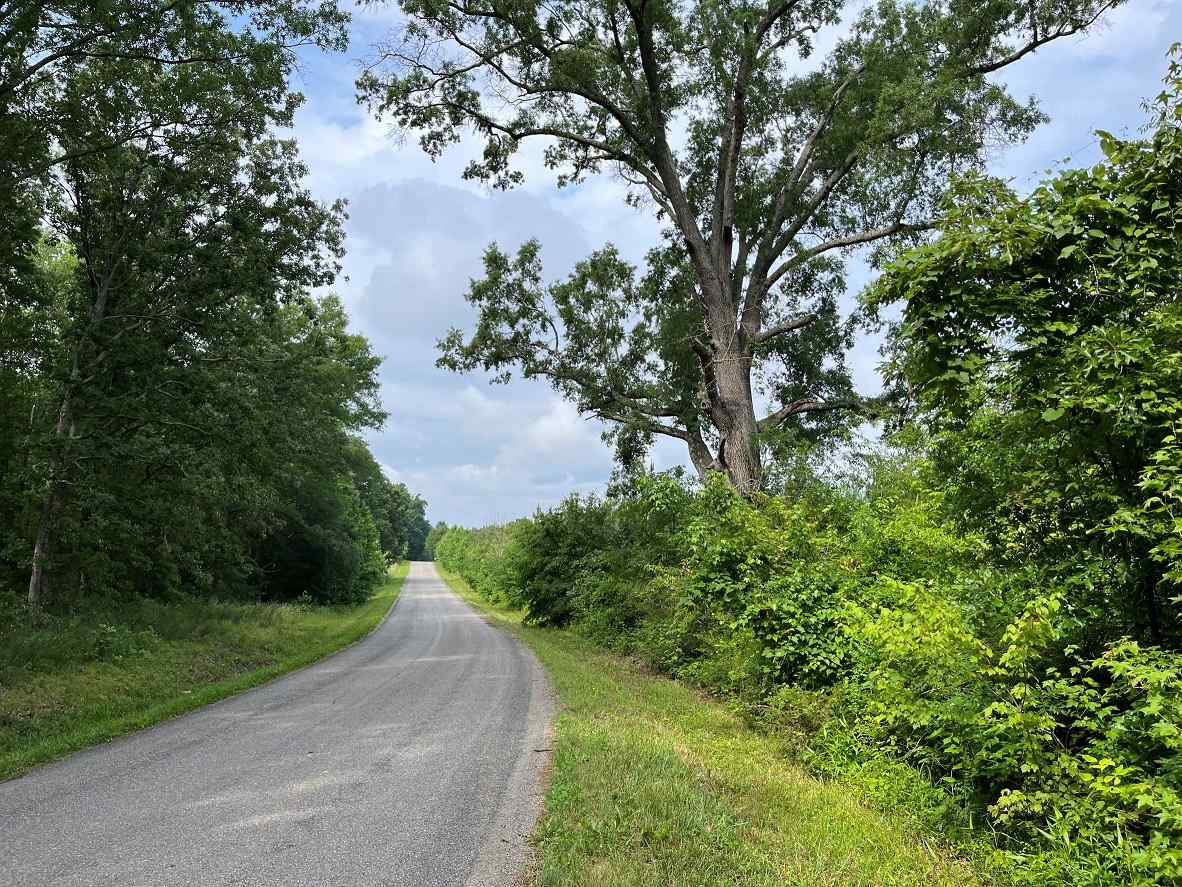 Advance Land and Timber Land for sale property_imgs/1~376.jpg