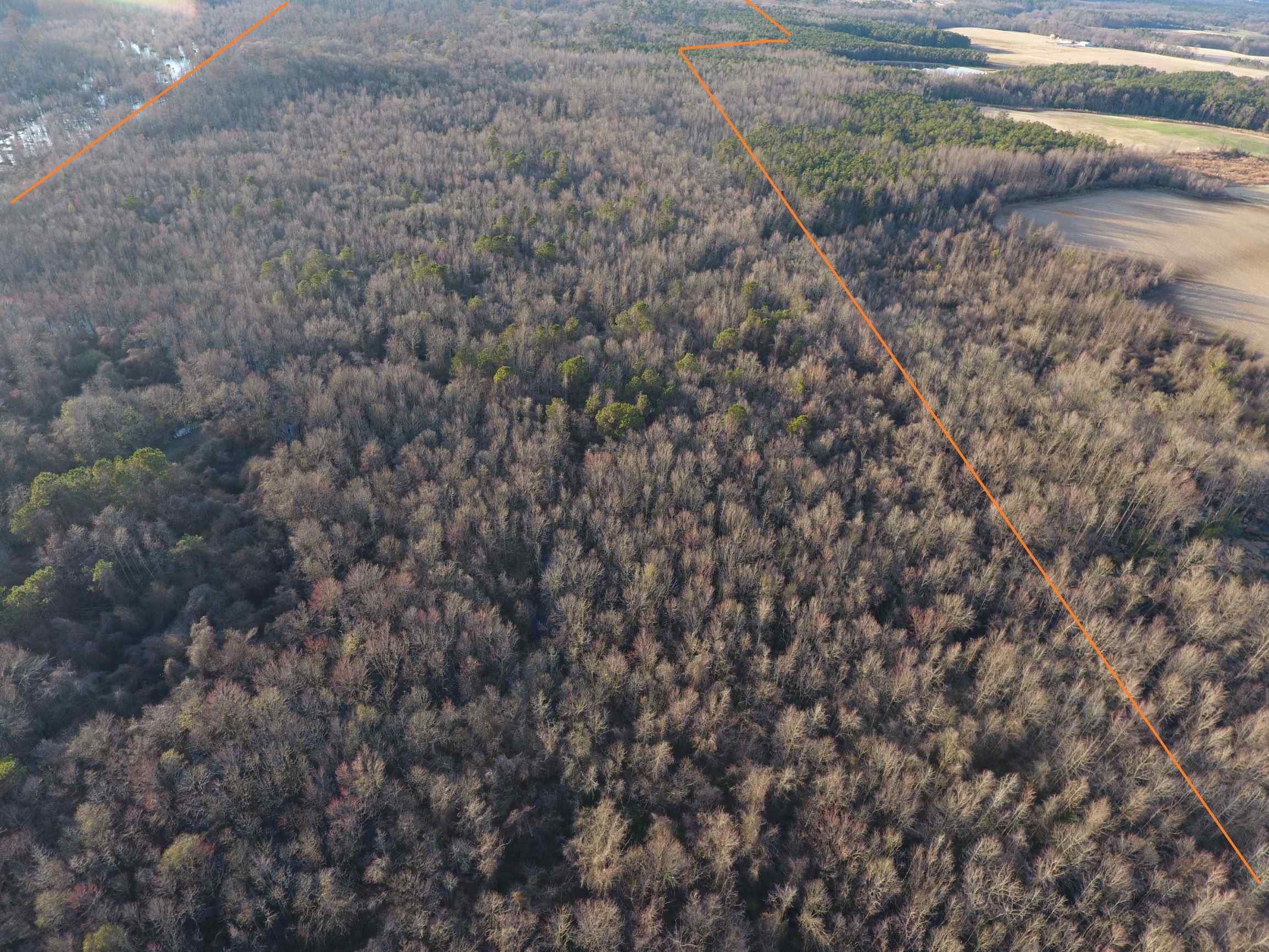 Advance Land and Timber Land for sale property_imgs/1~60.jpg