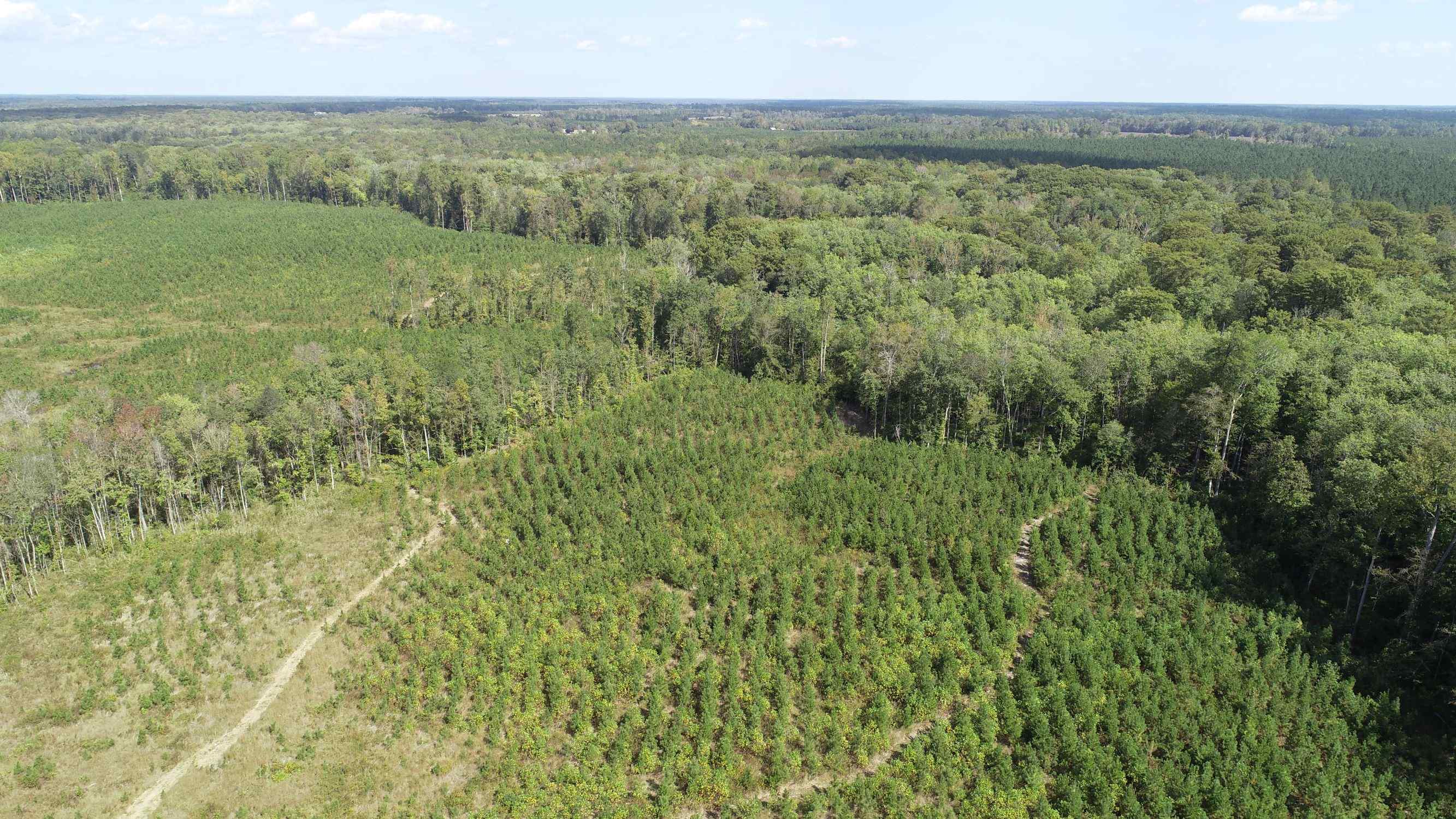 Advance Land and Timber Land for sale property_imgs/1~76.jpg