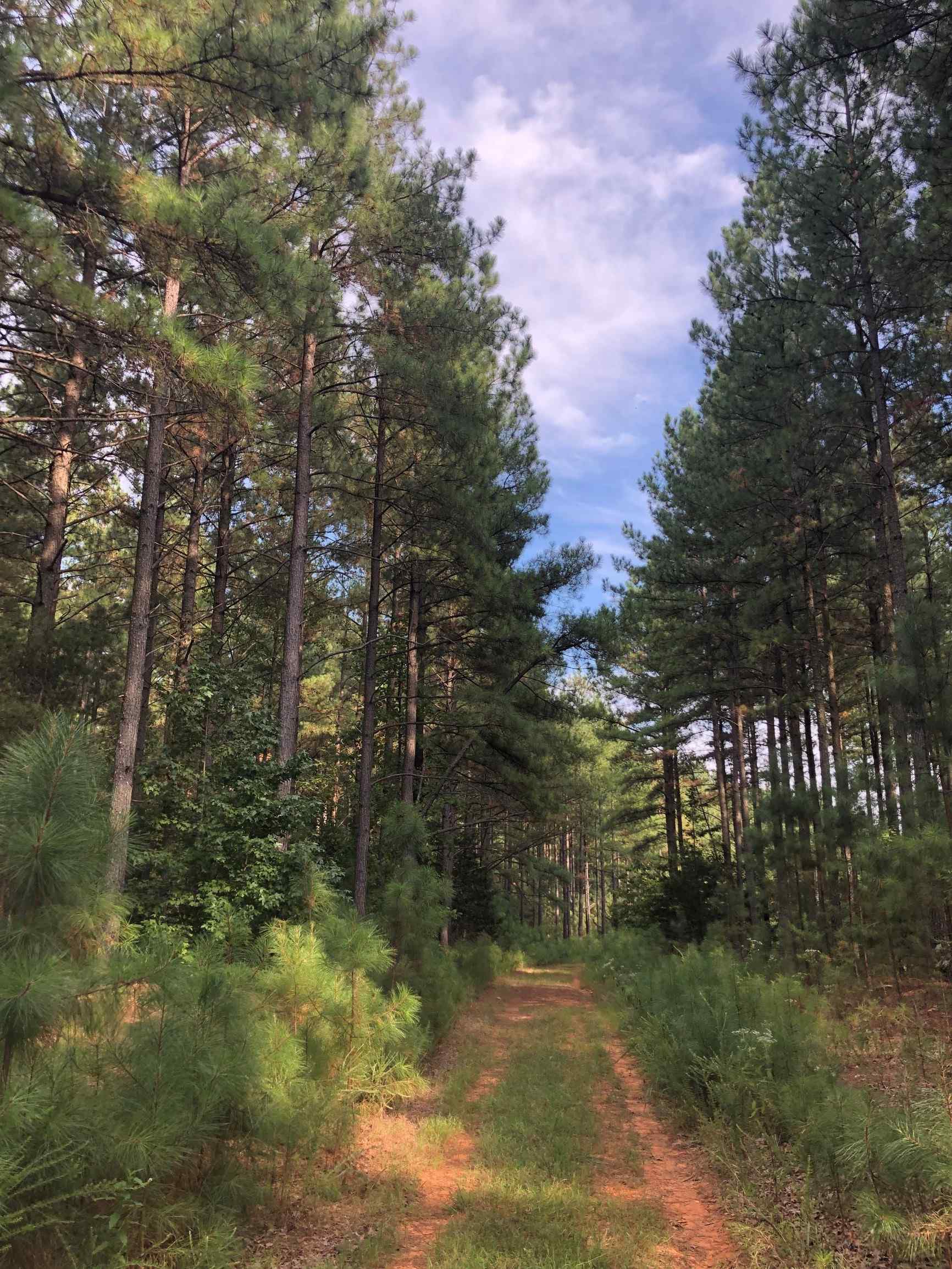 Fluvanna County Virginia Land for Sale