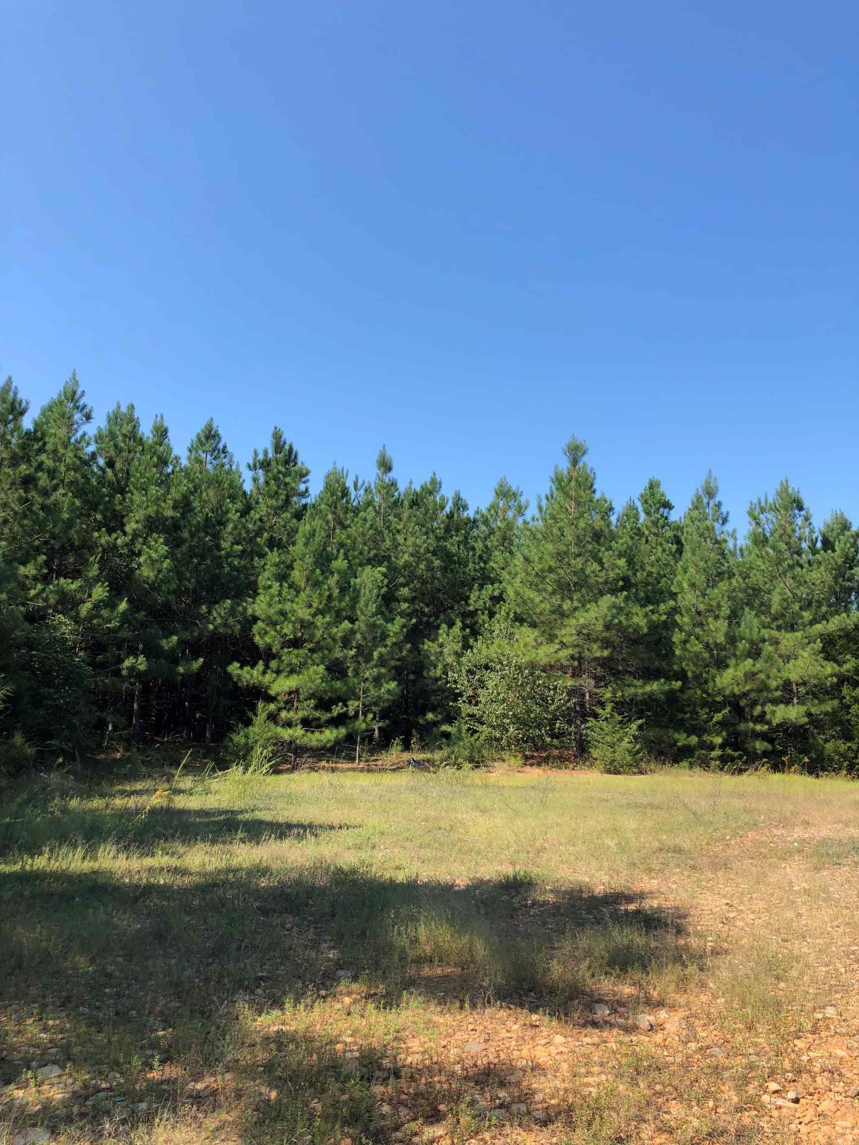 Advance Land and Timber Land for sale property_imgs/1~89.jpg