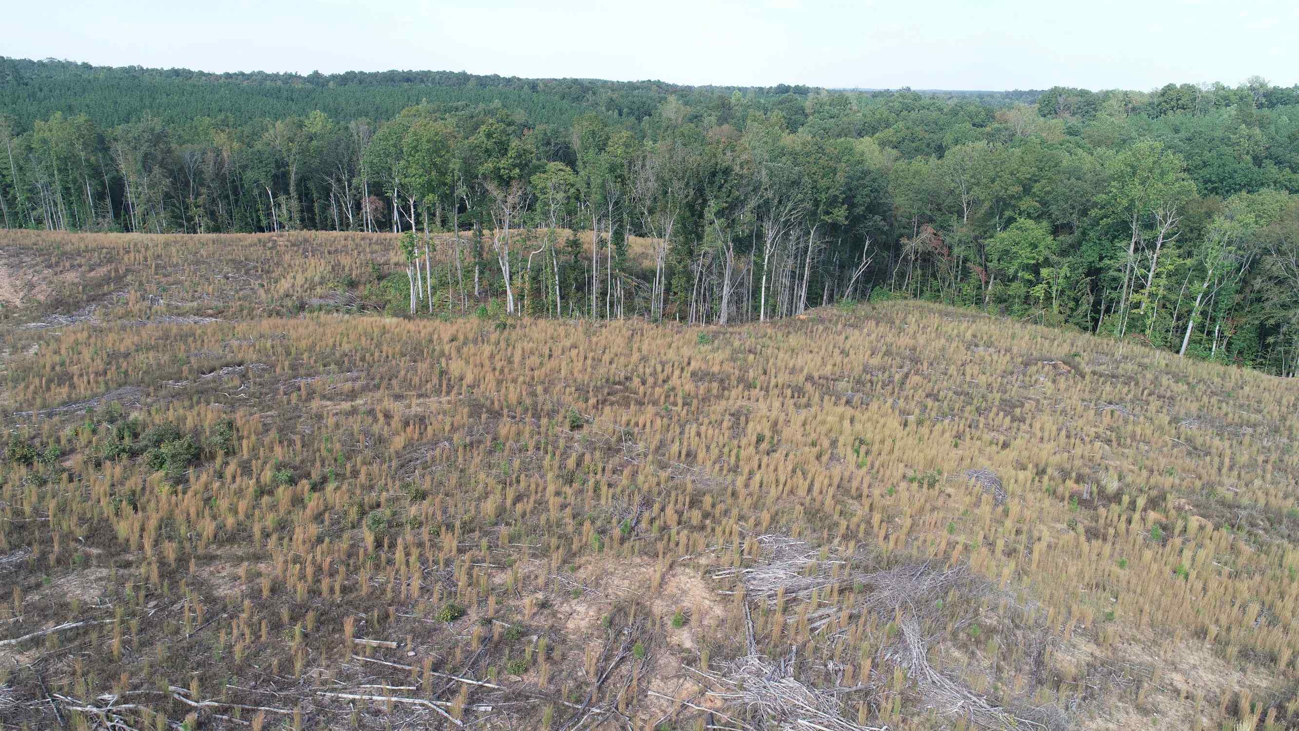 Advance Land and Timber Land for sale property_imgs/1~91.jpg